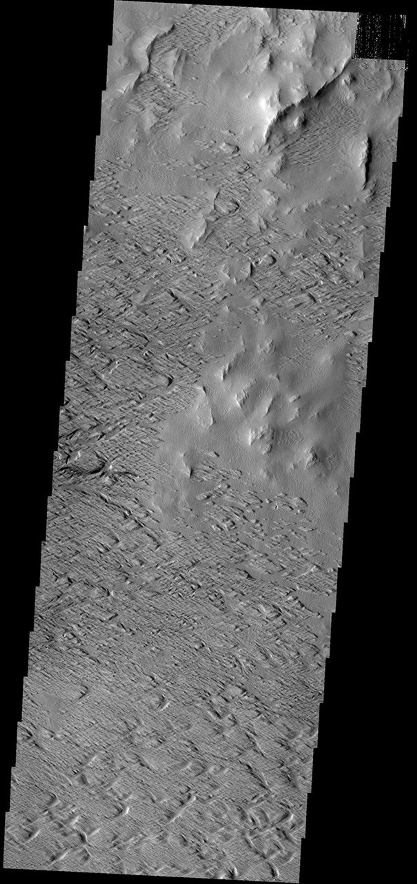 Significant wind erosion has sculpted these materials located south of Olympus Mons in this image taken by NASA's 2001 Mars Odyssey spacecraft.