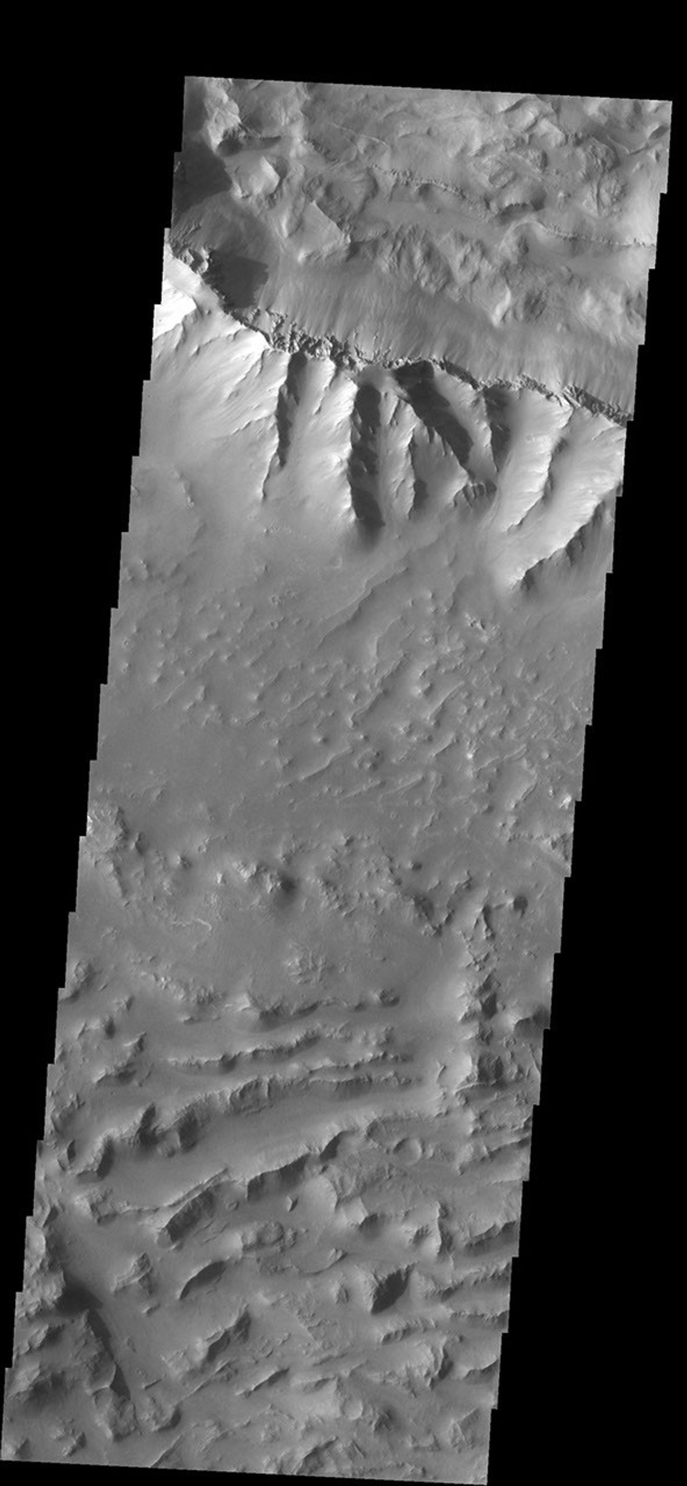 The landslide deposits in this image from NASA's 2001 Mars Odyssey spacecraft are located in Valles Marineris and are called Coprates Labes.