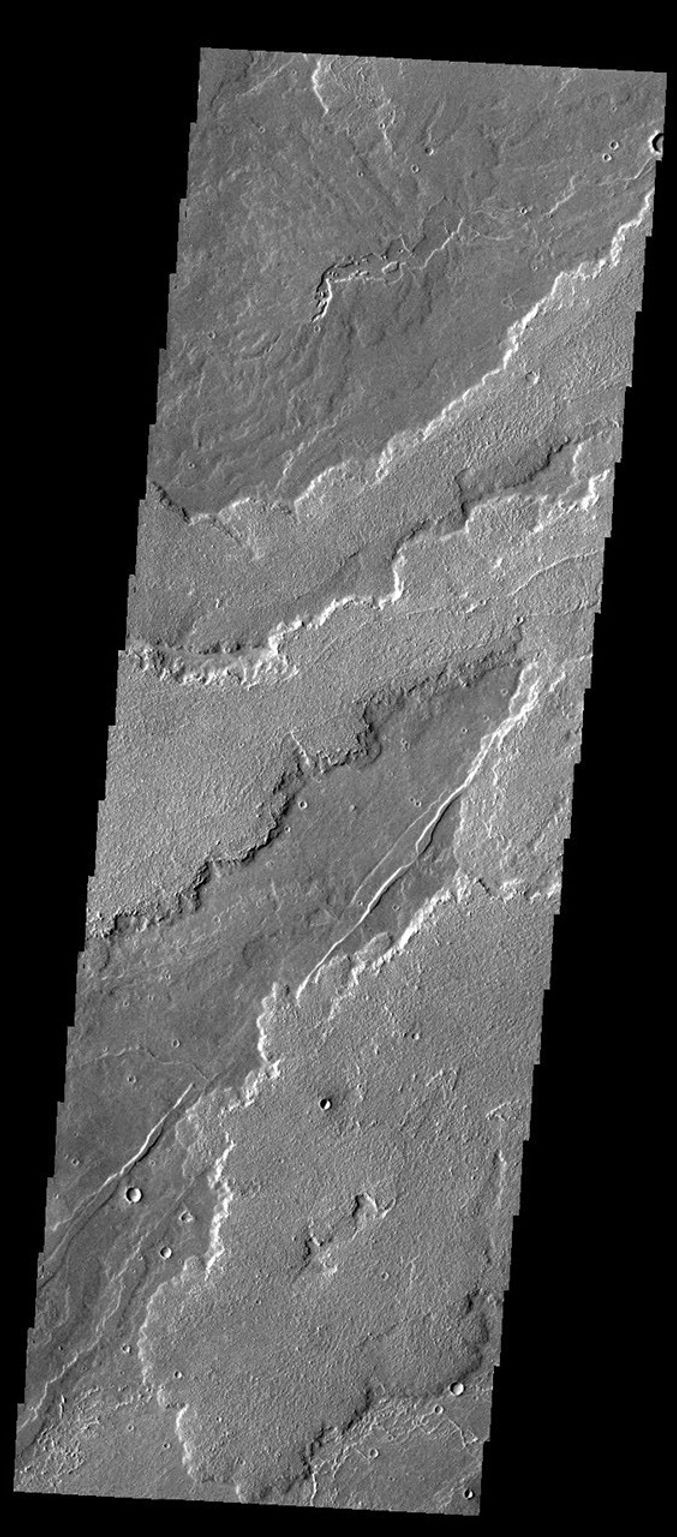 This image captured by NASA's 2001 Mars Odyssey spacecraft shows part of the extensive field of lava flows that make up Daedalia Planum.