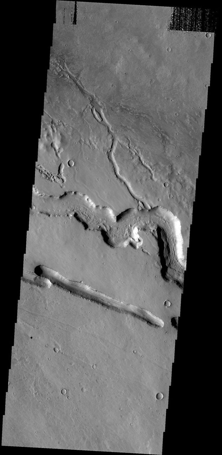 The channels and linear depression in this image captured by NASA's 2001 Mars Odyssey spacecraft are located on the western margin of the Elysium Volcanic complex. The channels were created by lava flow.