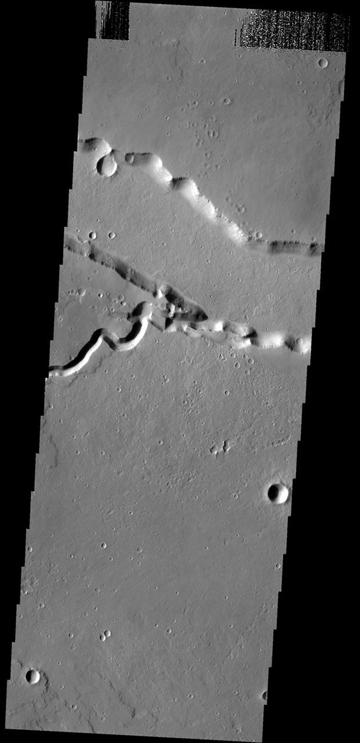This image captured by NASA's 2001 Mars Odyssey spacecraft shows where Patapsco Vallis enters the largest depression of Elysium Fossae. Patapsco Vallis, on the Elysium Mons volcanic complex, was likely formed by the flow of lava rather than water.