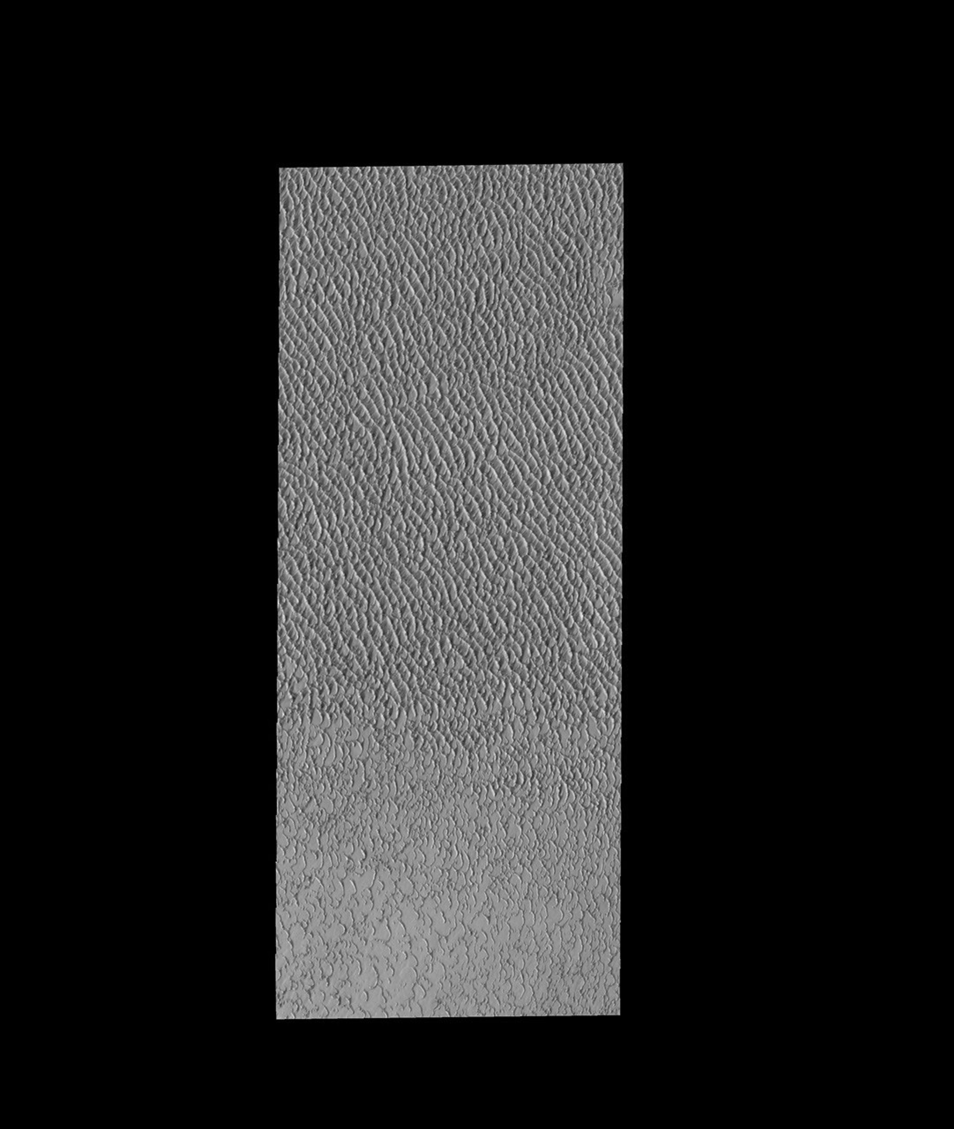 This image from NASA's 2001 Mars Odyssey spacecraft shows a small portion of Olympia Undae, the vast dune field near the north pole.