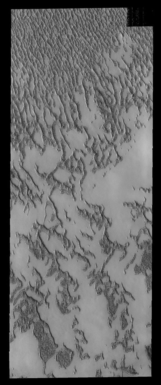 This image shows a portion of the north polar dune field where there has been more frost lost from the dunes. This image is from NASA's 2001 Mars Odyssey spacecraft.