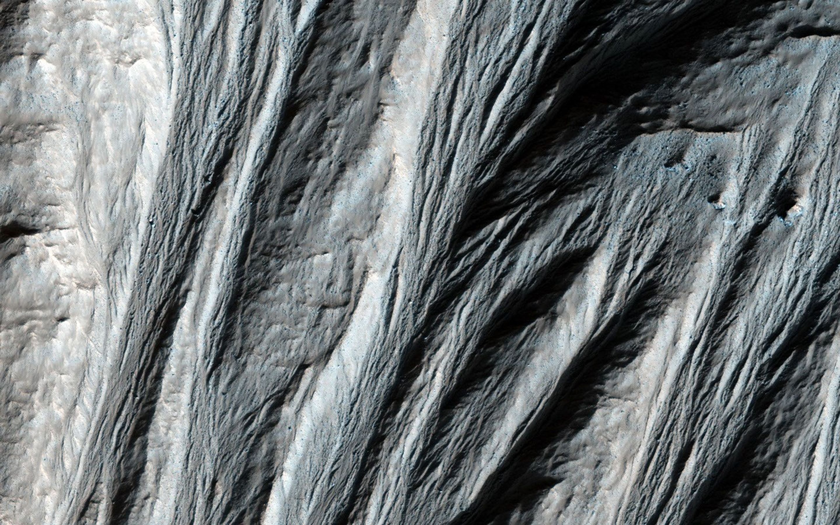 This image shows numerous dark shapes and bright spots on a sand dune in the Northern polar regions of Mars. This observation is from NASA's Mars Reconnaissance Orbiter.