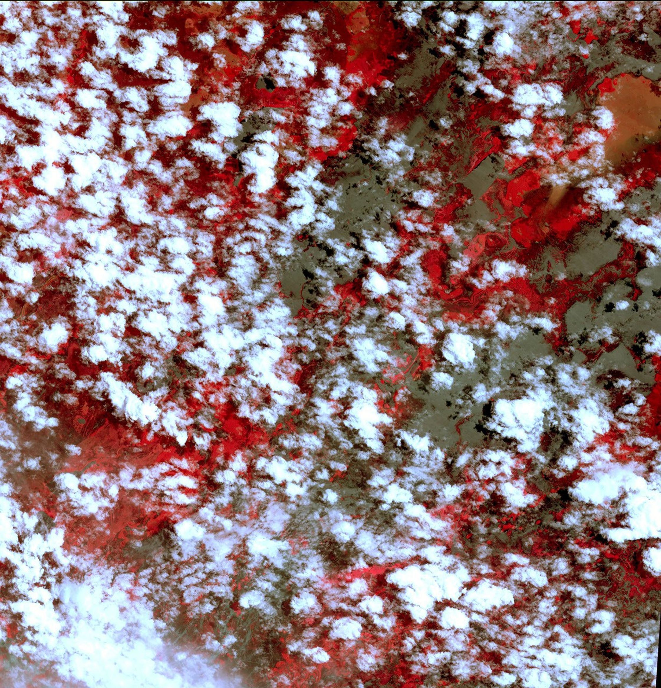 NASA's Terra spacecraft shows that extremely heavy seasonal rains have fallen on northern Bolivia since October 2013. The worst affected province is Beni in the northeastern part of the country.