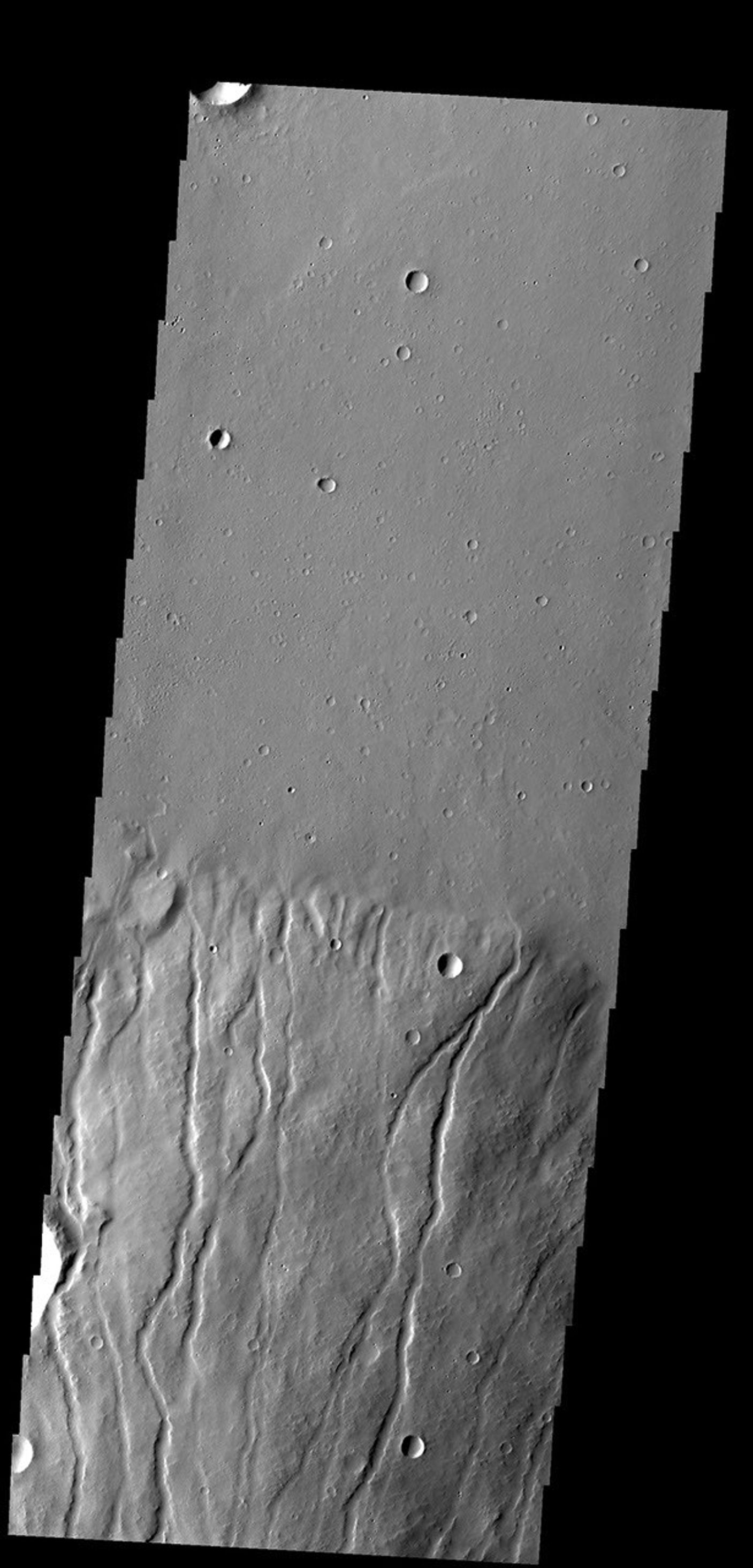 Multiple channels dissect the northern flank of Ceraunius Tholus in this image captured by NASA's 2001 Mars Odyssey spacecraft.