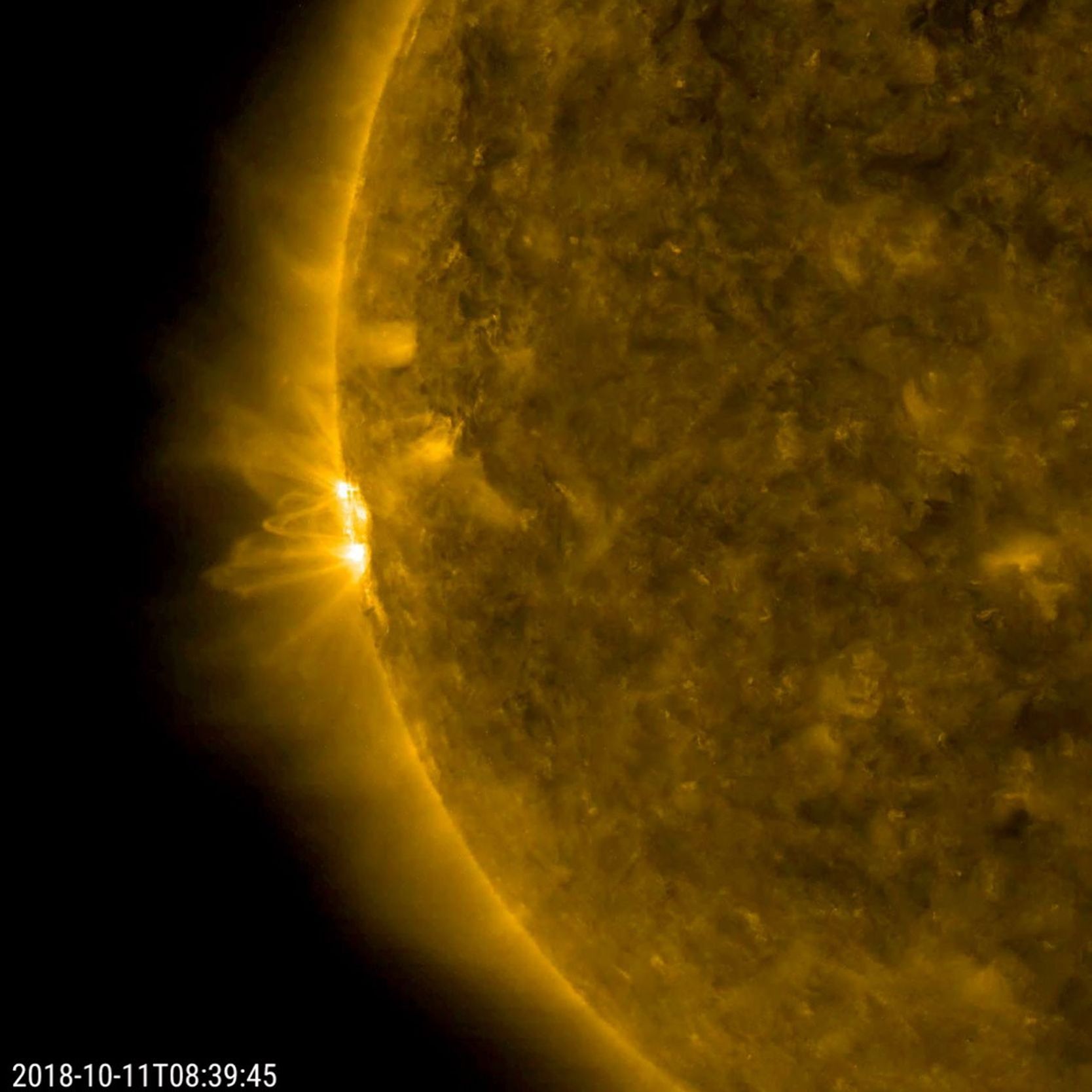 NASA's Solar Dynamics Observatory shows the Sun's rotation bringing a new active region into view, revealing the dynamic arches and twisting streams of its magnetic field (Oct. 10-11, 2018).
