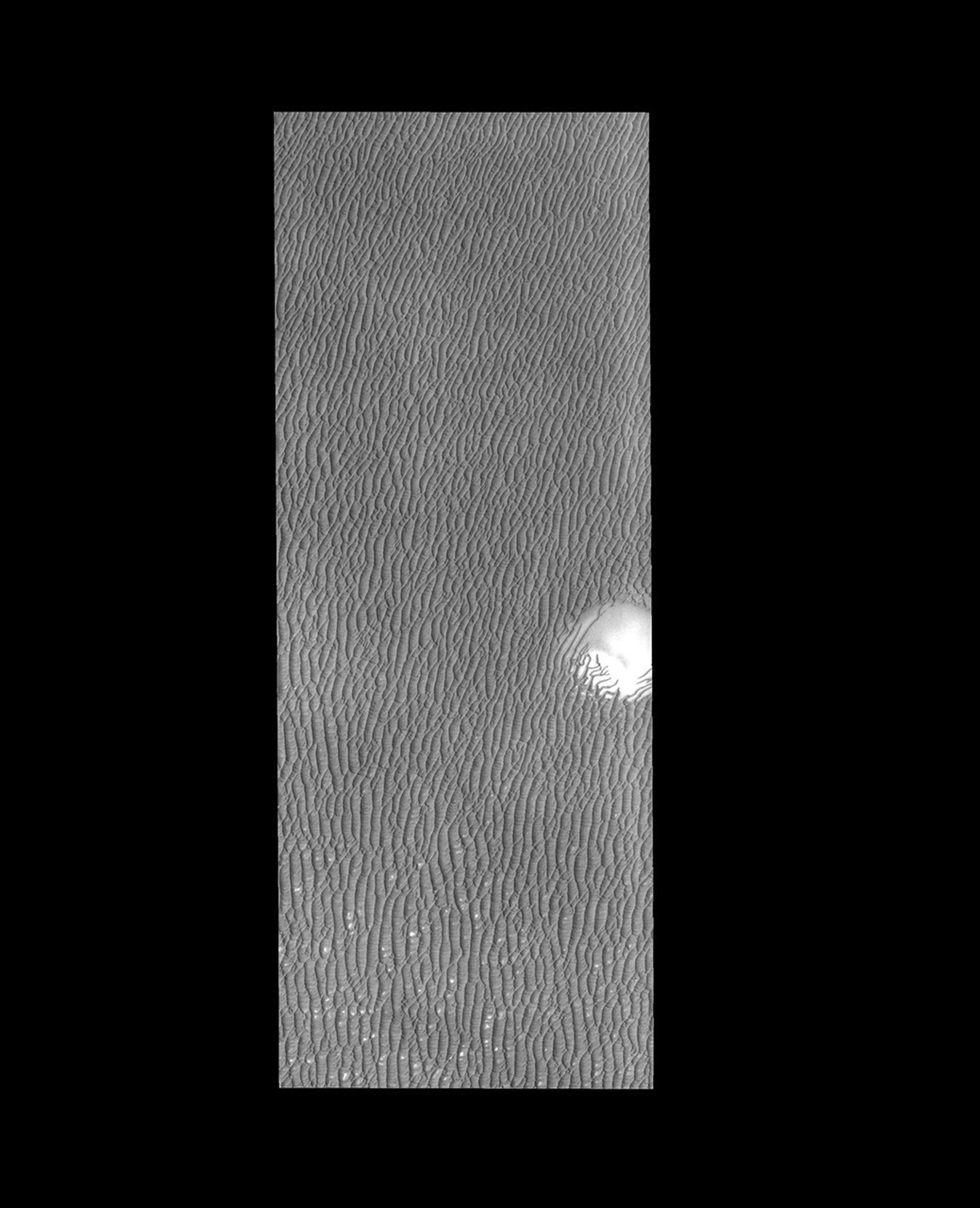 As the season changes from spring to summer, the dunes surrounding the north polar cap become darker and darker as seen by NASA's 2001 Mars Odyssey spacecraft.