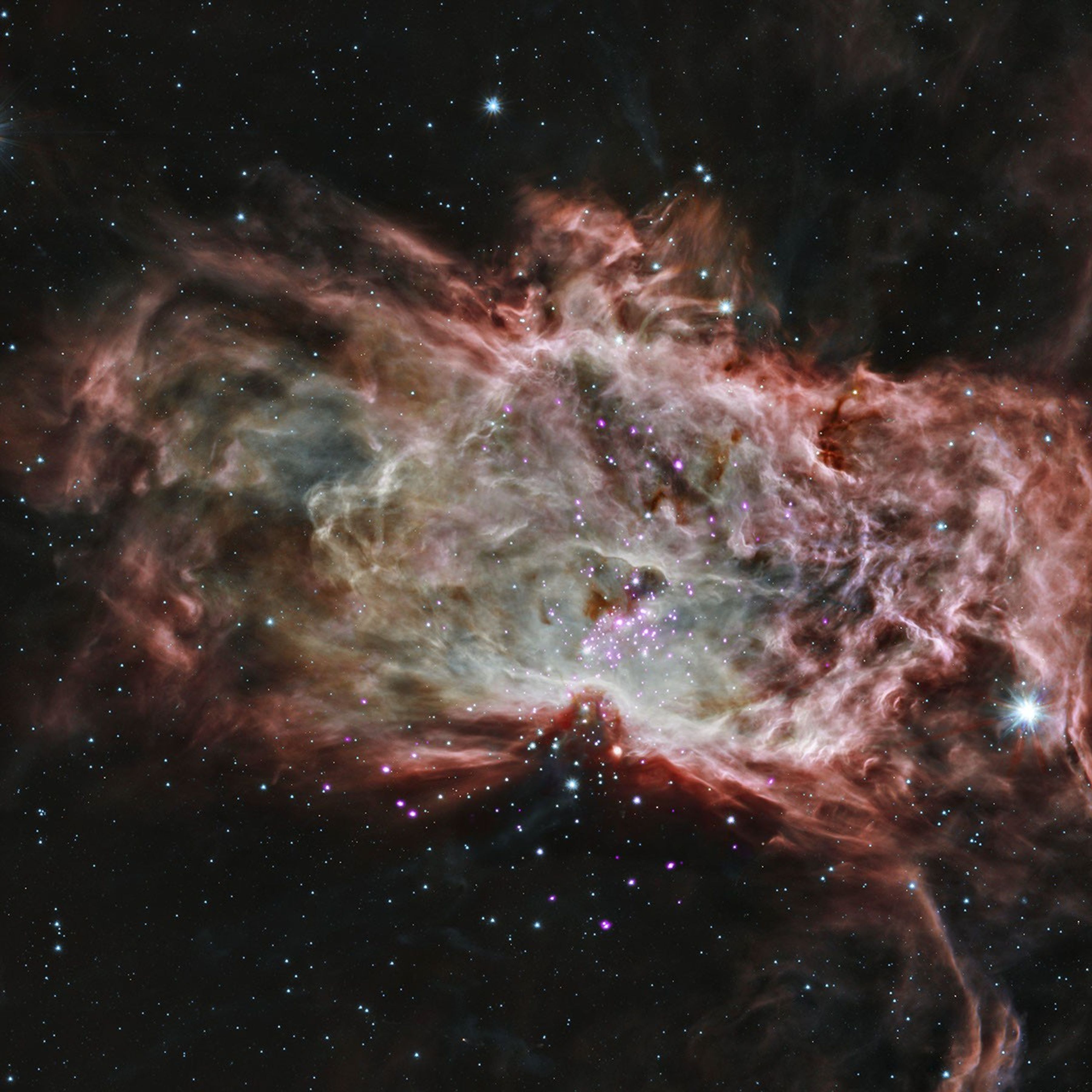 This composite image shows one of the clusters, NGC 2024, which is found in the center of the so-called Flame Nebula about 1,400 light years from Earth. Astronomers have studied two star clusters using NASA's Chandra and infrared telescopes.