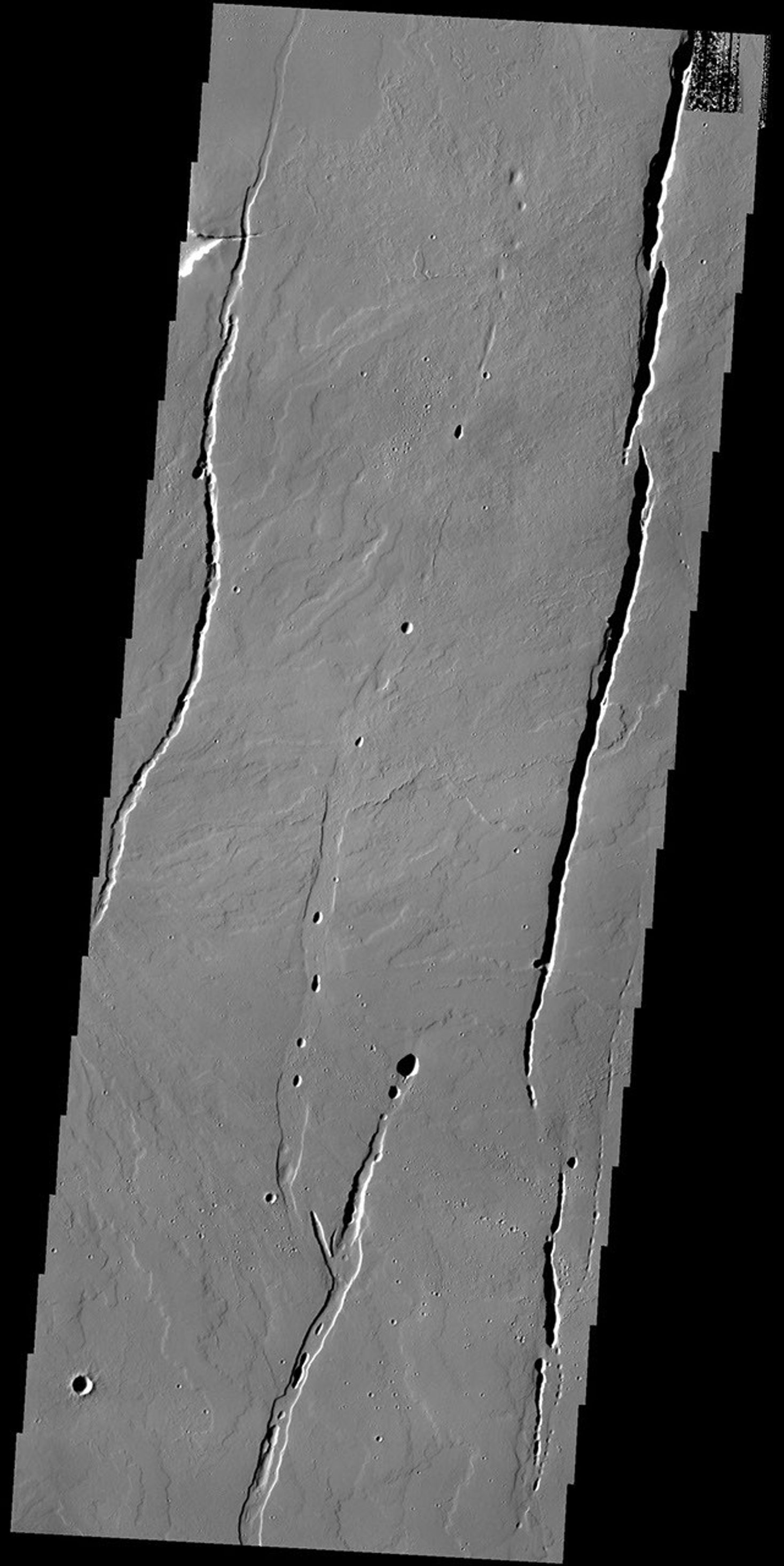The lava flows and depressions in this image from NASA's 2001 Mars Odyssey spacecraft are located south of Alba Mons.
