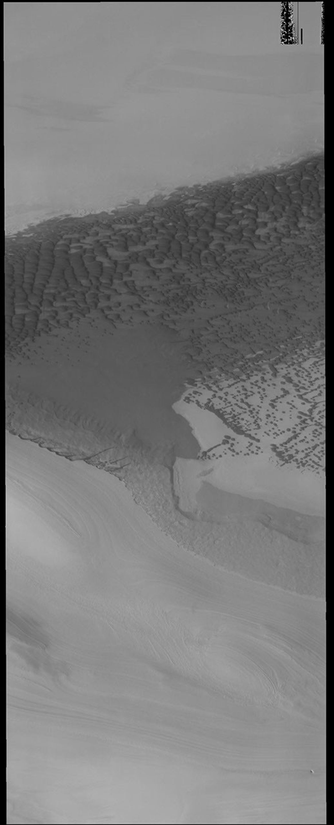 The dark dunes in this image captured by NASA's 2001 Mars Odyssey spacecraft are located in a depression bounded by ice. The polar ice is the bright material at the top and bottom parts of this image.