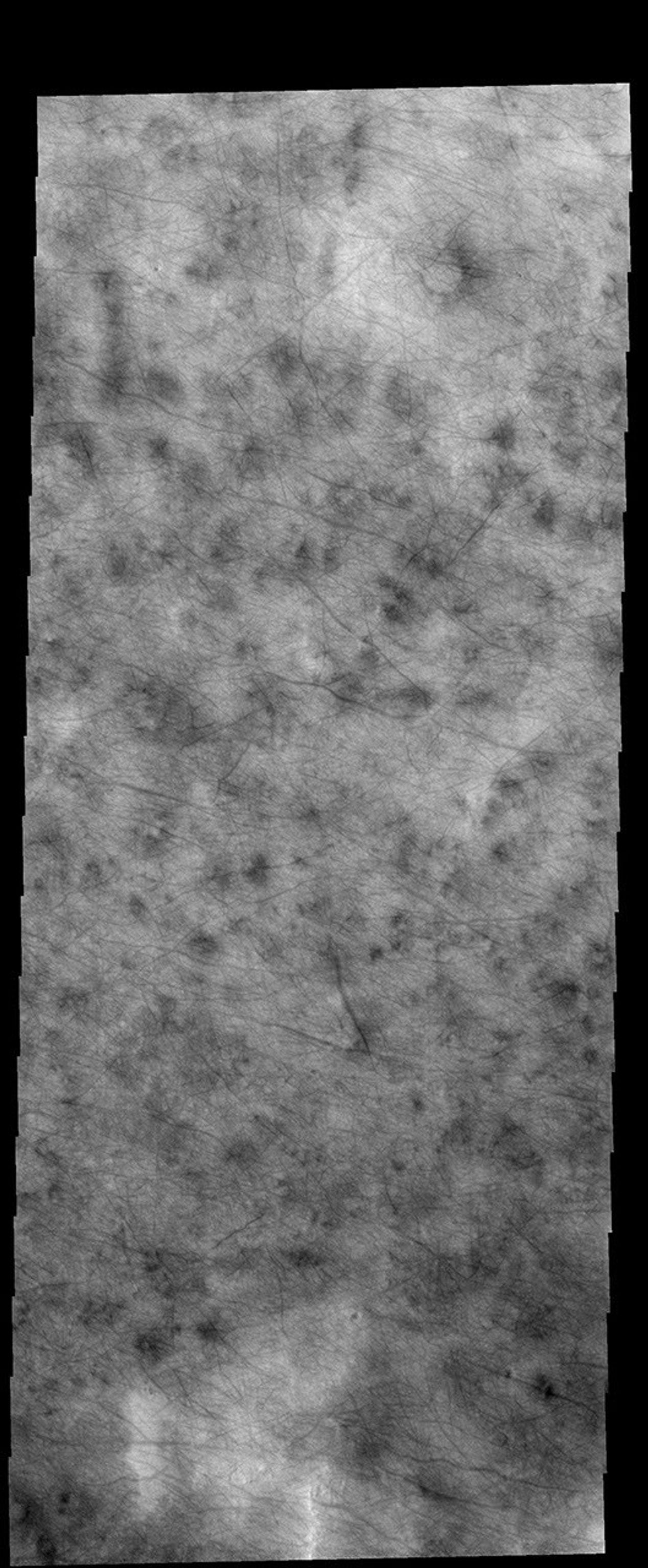 This image captured by NASA's 2001 Mars Odyssey spacecraft is of the northern plains and shows hundreds of dust devil tracks.
