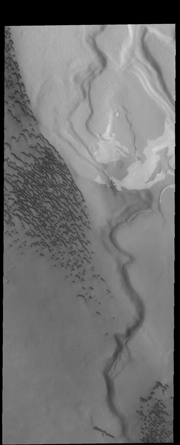 This image from NASA's 2001 Mars Odyssey spacecraft shows Hyperborei Cavi - the low regions on the right side of the image. Dunes are found both in the lows and on the higher region on the left side of the image.