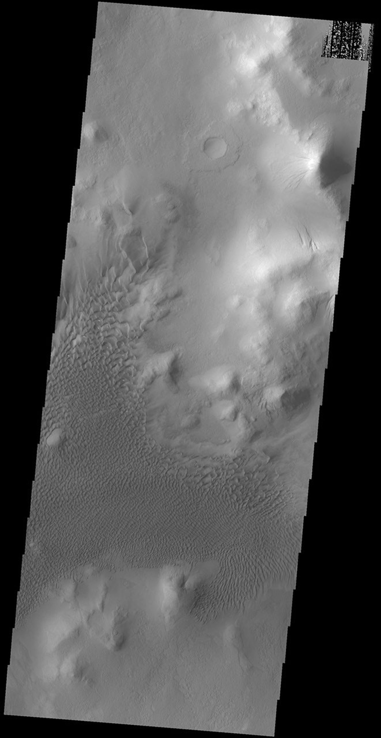 The dunes in this image captured by NASA's 2001 Mars Odyssey spacecraft are located on the floor of Lyot Crater.