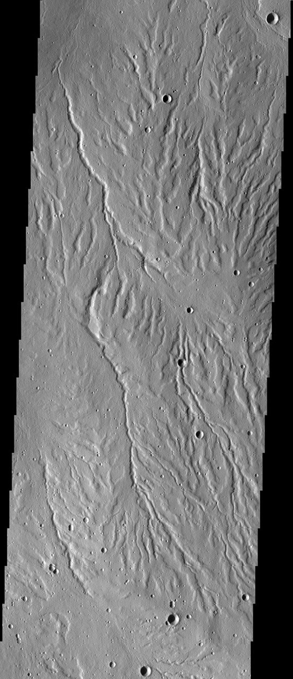 This image captured by NASA's 2001 Mars Odyssey spacecraft shows part of Rubicon Valles, a complex region of channels found on the northwestern flank of Alba Mons.