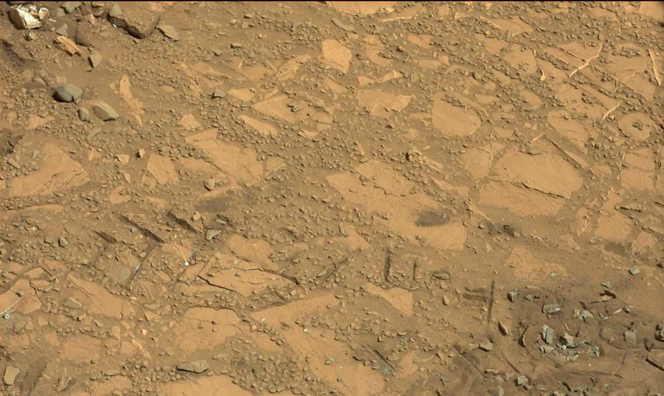 This Aug. 12, 2012, image from the Mastcam on NASA's Curiosity Mars rover shows an outcrop that includes the 'Bonanza King' rock under consideration as a drilling target. Raised ridges on the flat rocks are visible at right.
