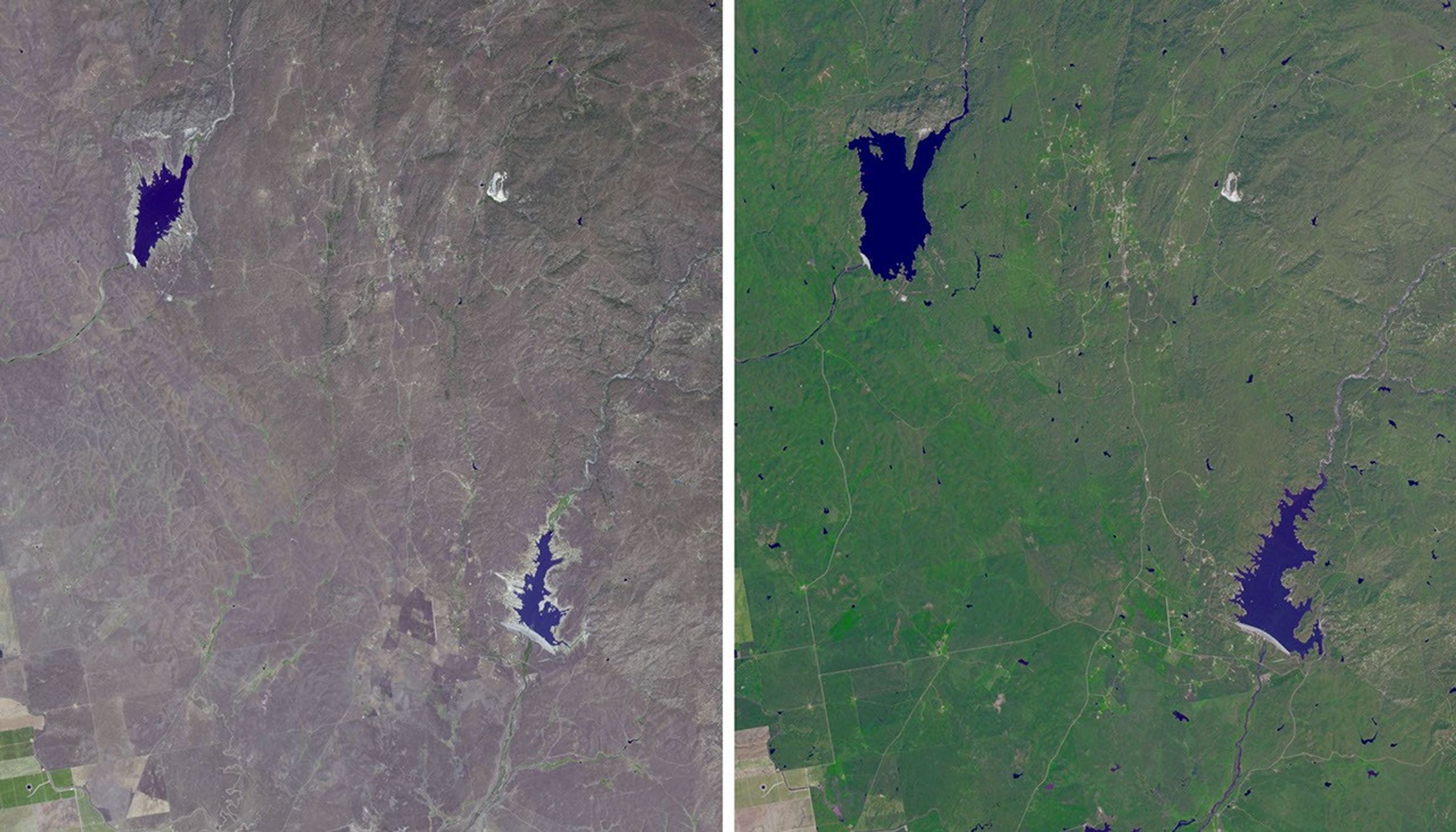 The effects of California's severe multiyear drought are seen in this pair of images acquired by NASA's Terra spacecraft of the area northeast of Madera, in the Sierra Nevada Moutains foothills between Yosemite National Park and the San Joaquin Valley.