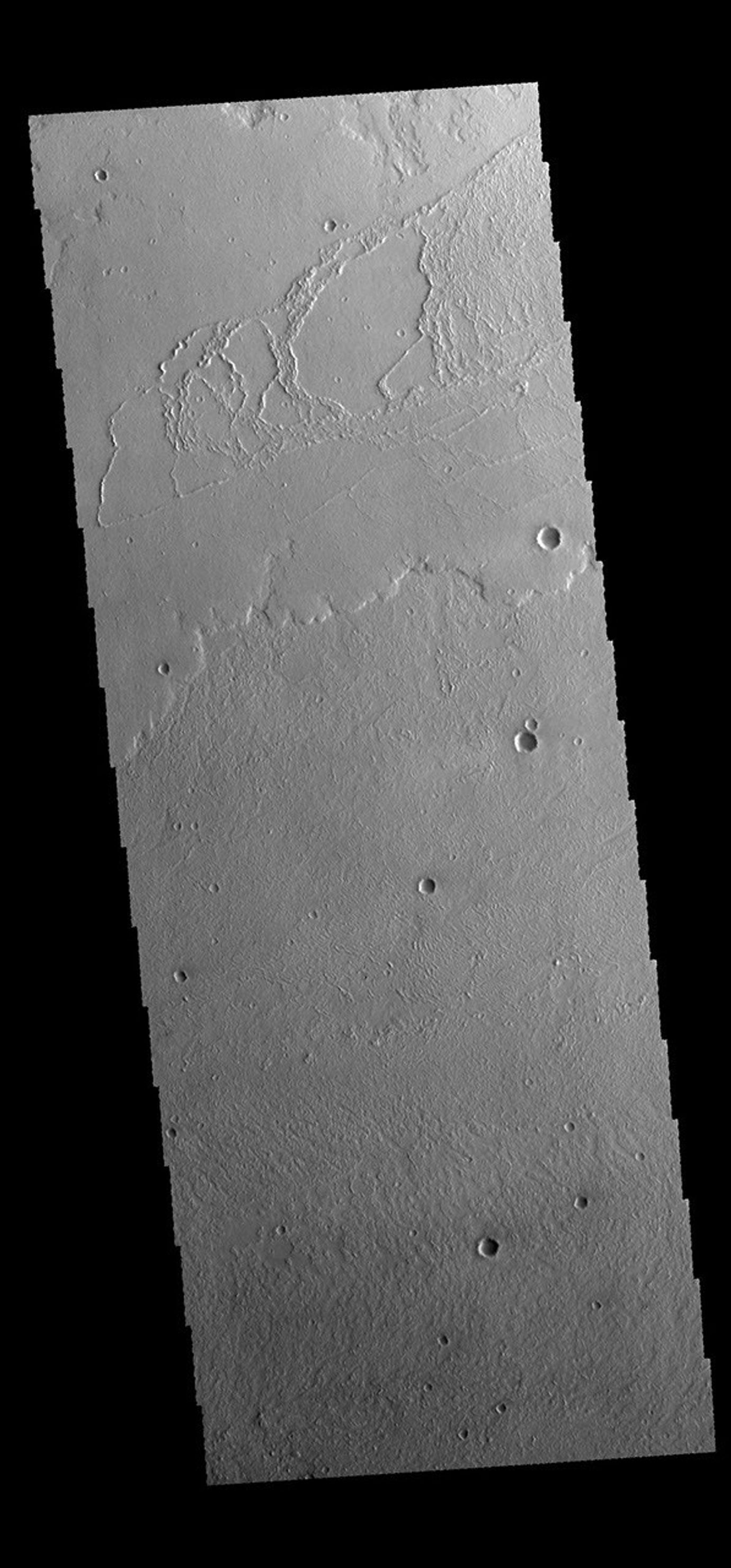The region of this image captured by NASA's 2001 Mars Odyssey spacecraft shows several different flow surfaces, including platy and lobate. These flows are part of Daedalia Planum.