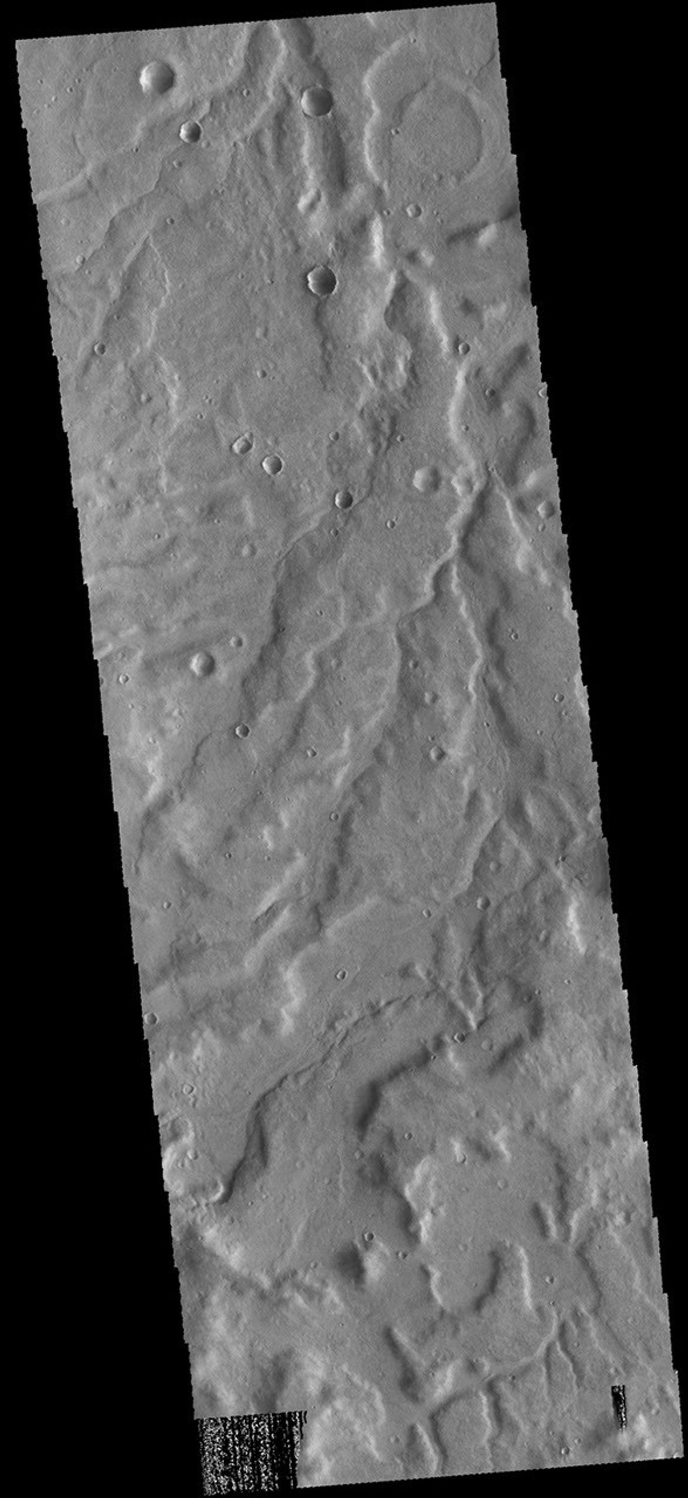The unnamed channels in this image captured by NASA's 2001 Mars Odyssey spacecraft are located in Terra Cimmeria.