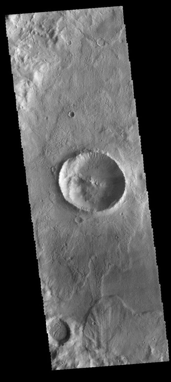 Located on the floor of an unnamed crater in Terra Sirenum, the crater in the center of the this image captured by NASA's 2001 Mars Odyssey spacecraft has numerous gullies on the inner rim.