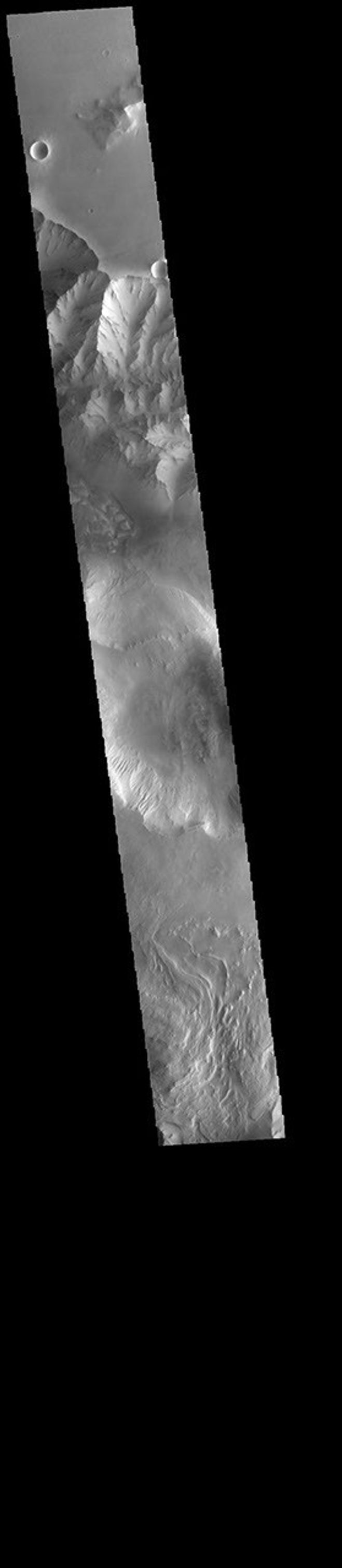 This image captured by NASA's 2001 Mars Odyssey spacecraft spans Candor Chasma on Mars.