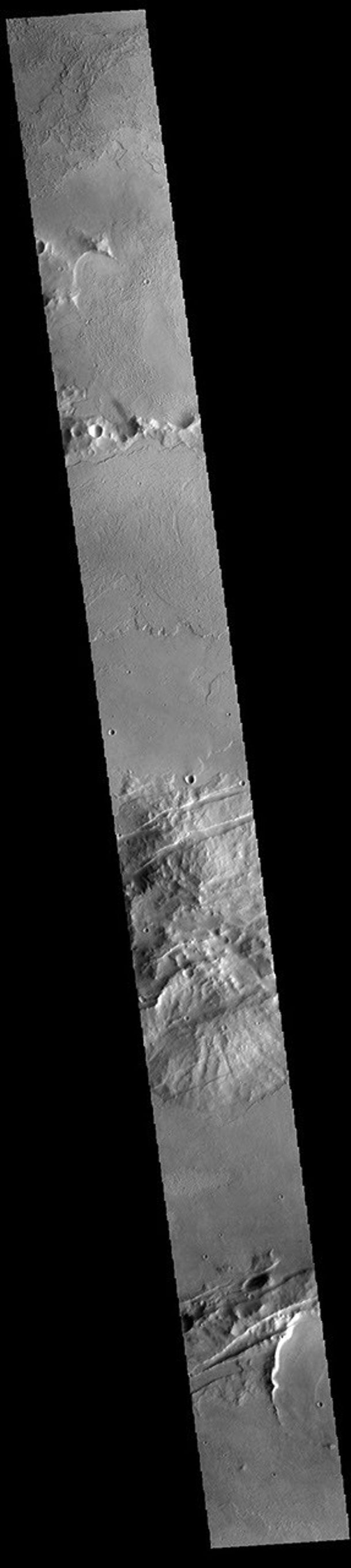 This image from NASA's 2001 Mars Odyssey spacecraft shows both part of the volcanic flows of Daedalia Planum (top half) and the tectonic features of Memnonia Fossae (bottom half).