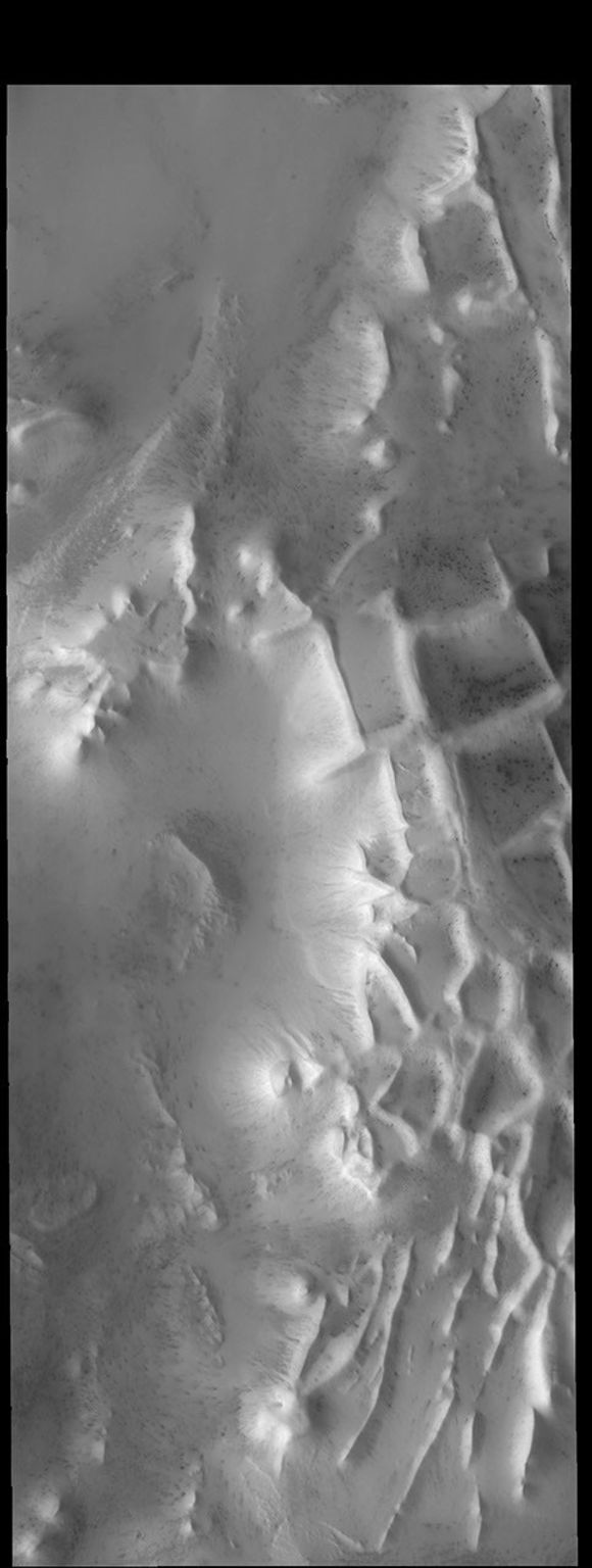 The intersecting ridges in this image from NASA's 2001 Mars Odyssey spacecraft are part of Angustus Labyrinthus, informally called Inca City.