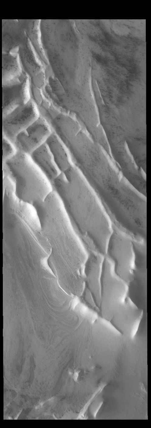 This image captured by NASA's 2001 Mars Odyssey spacecraft shows a portion of Angustus Labyrinthus on Mars.