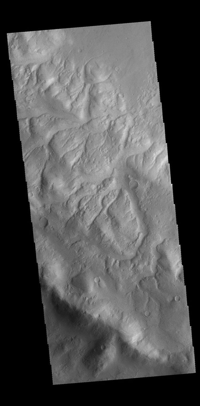 Numerous channels dissect the rim of Lohse Crater, as shown in this image captured by NASA's 2001 Mars Odyssey spacecraft.