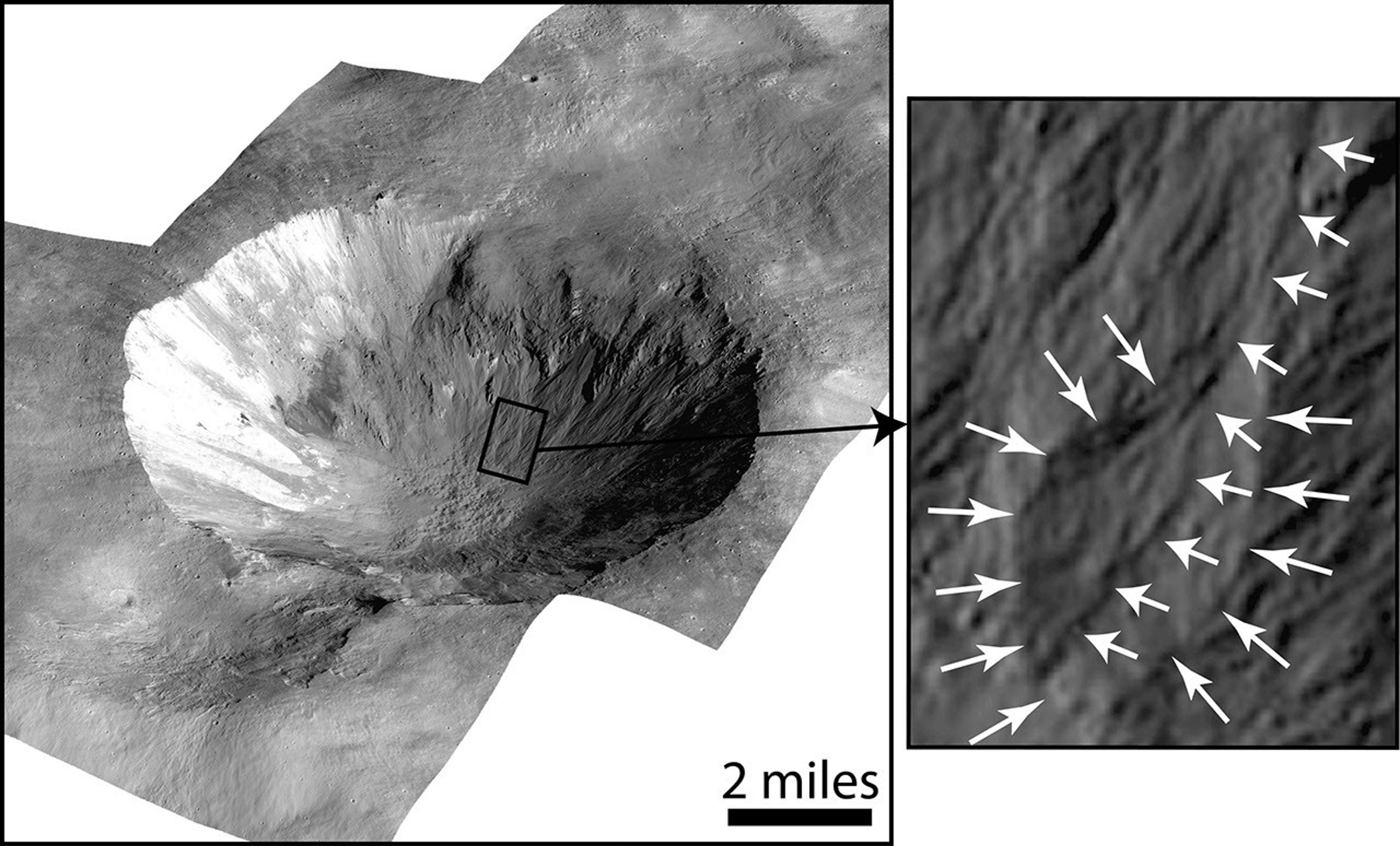 This image shows Cornelia Crater on the large asteroid Vesta. On the right is an inset image showing an example of curved gullies, indicated by the short white arrows, and a fan-shaped deposit, indicated by long white arrows.
