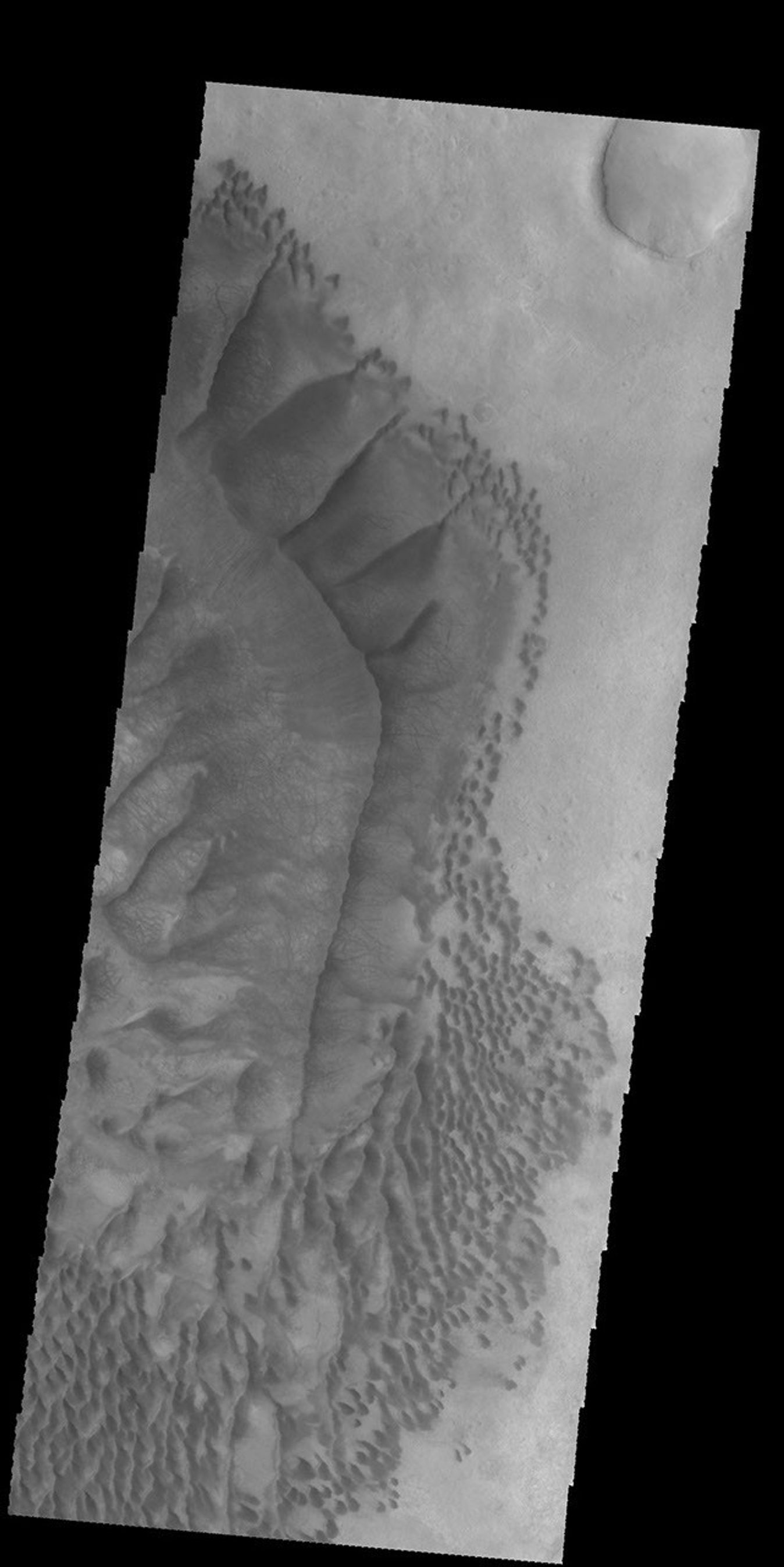 This image from NASA's 2001 Mars Odyssey spacecraft shows dark dunes on Russel crater on Mars.