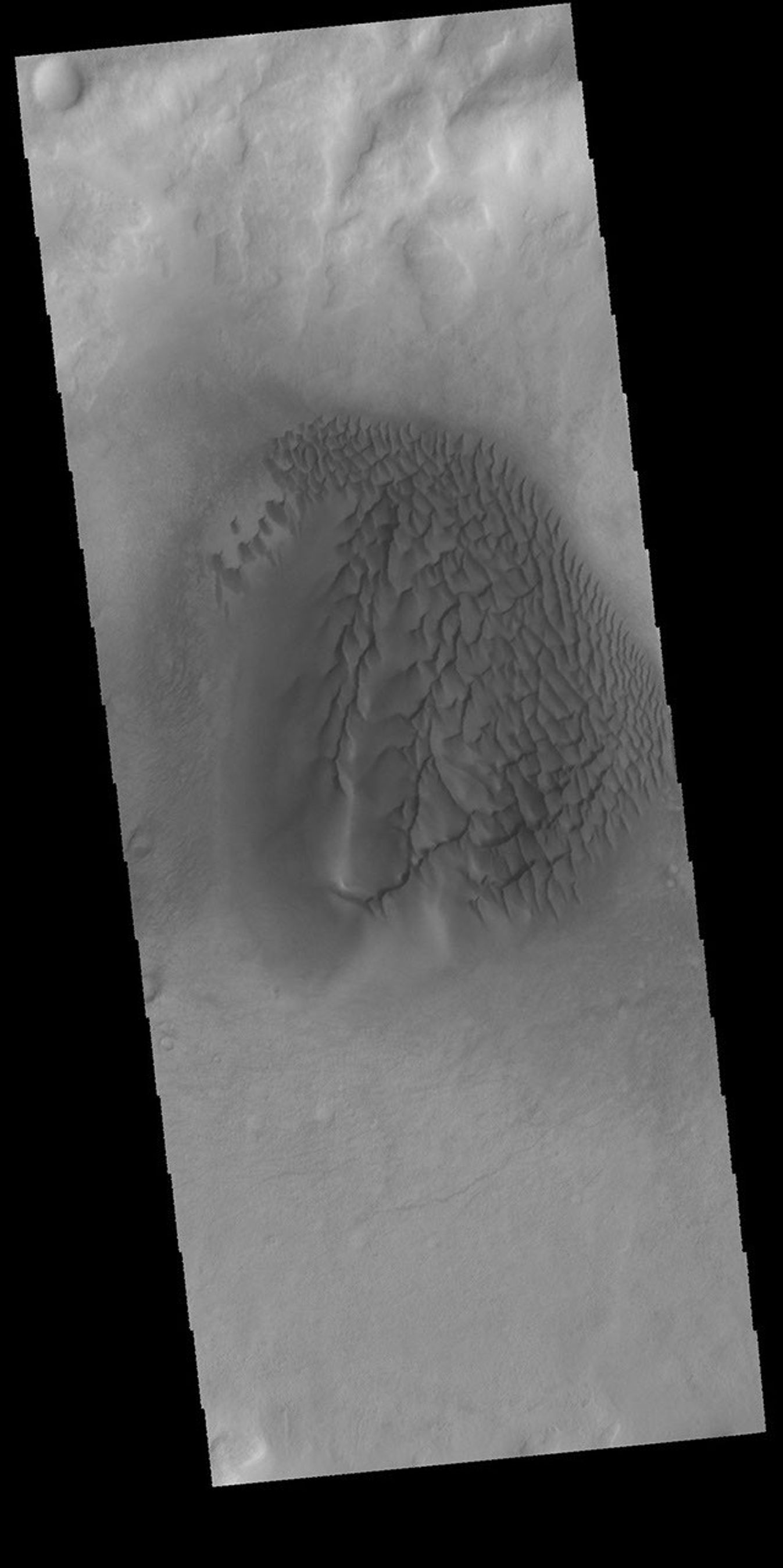 These dunes on Mars are darker in visible wavelengths than the surrounding material as seen by NASA's Mars Odyssey spacecraft.