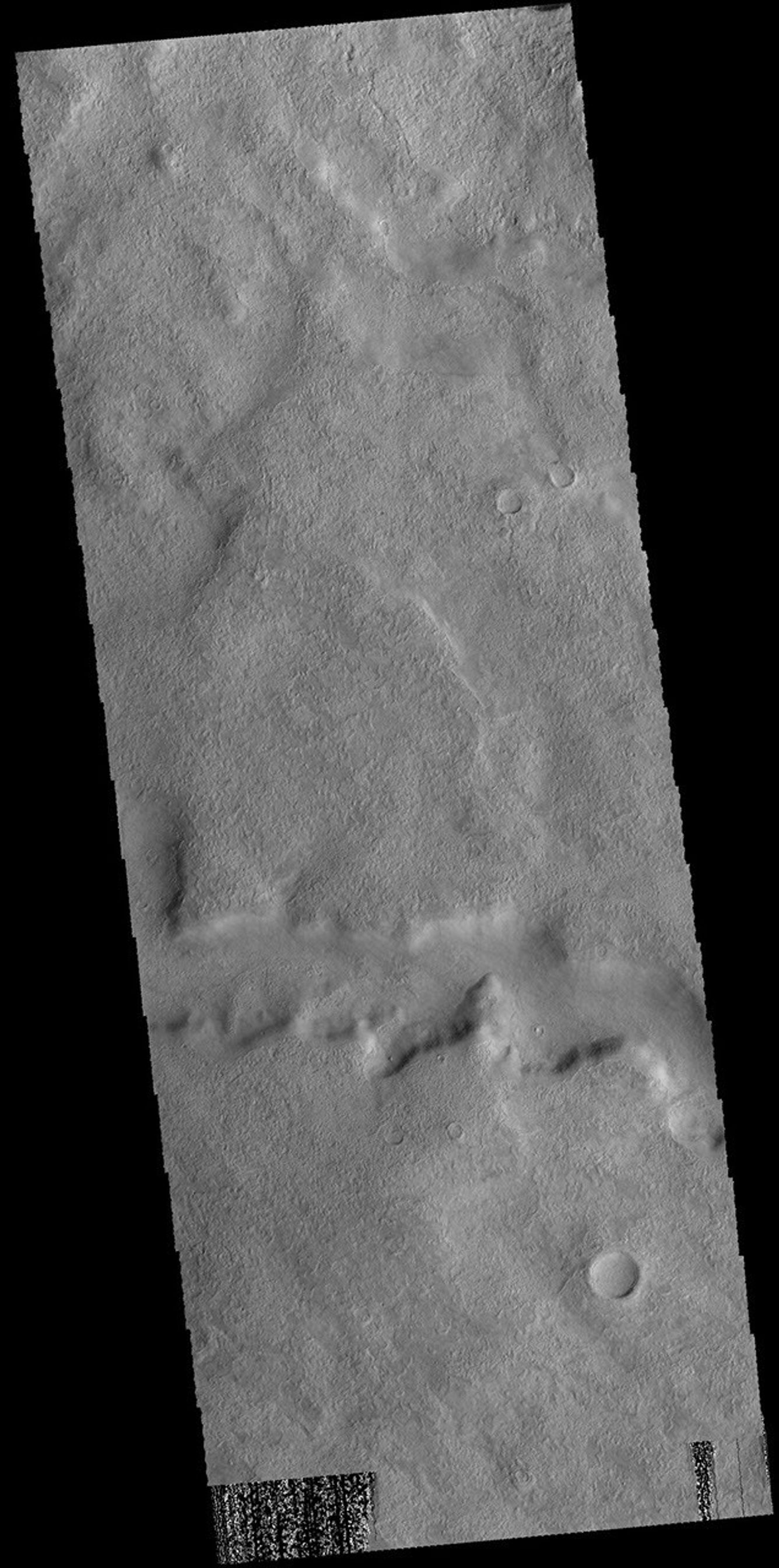 This image captured by NASA's 2001 Mars Odyssey spacecraft shows a section of Tader Valles located in Terra Sirenum.