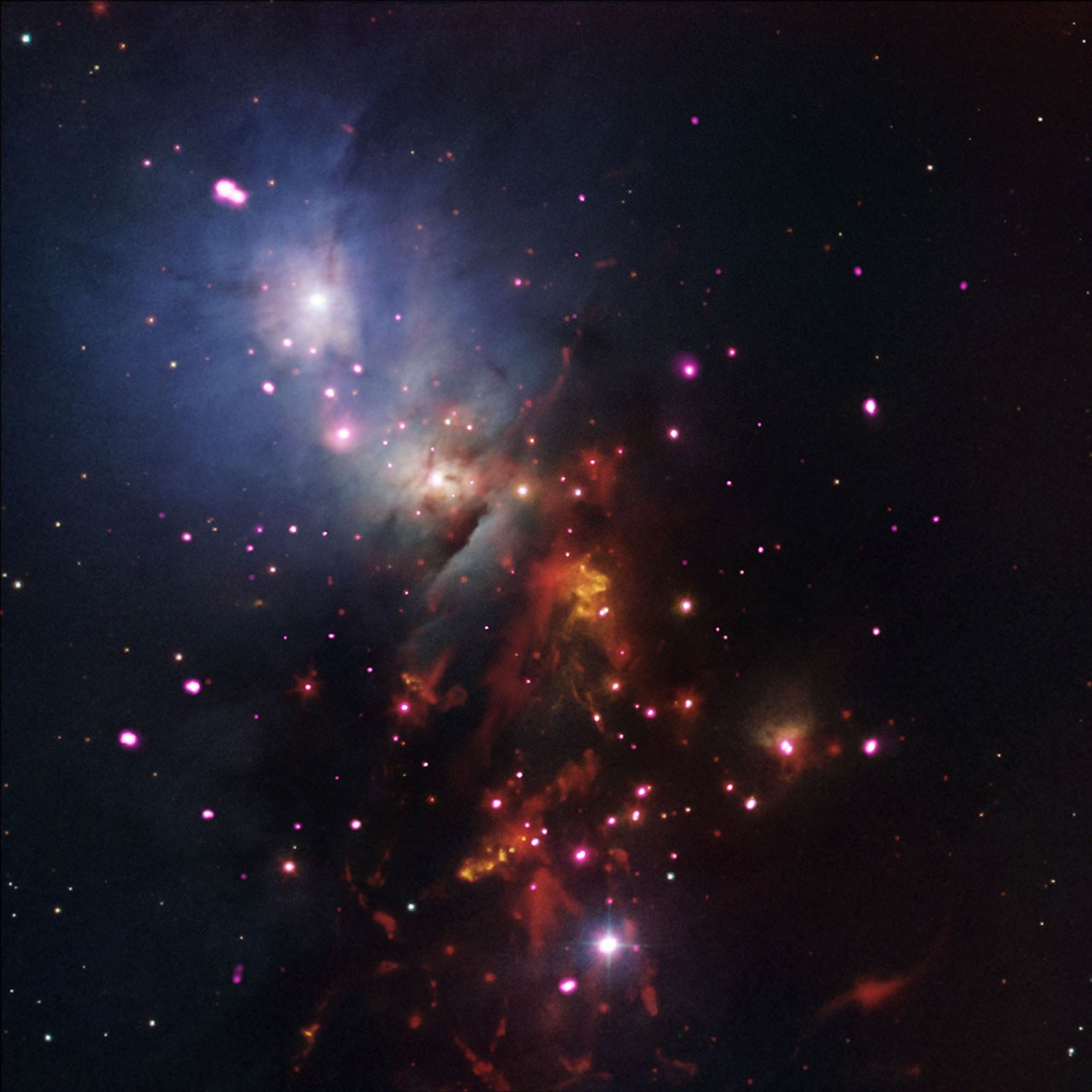 This image, containing data from NASA's Spitzer and Chandra space telescopes, shows a cluster of young stars expected to burn for billions of years.