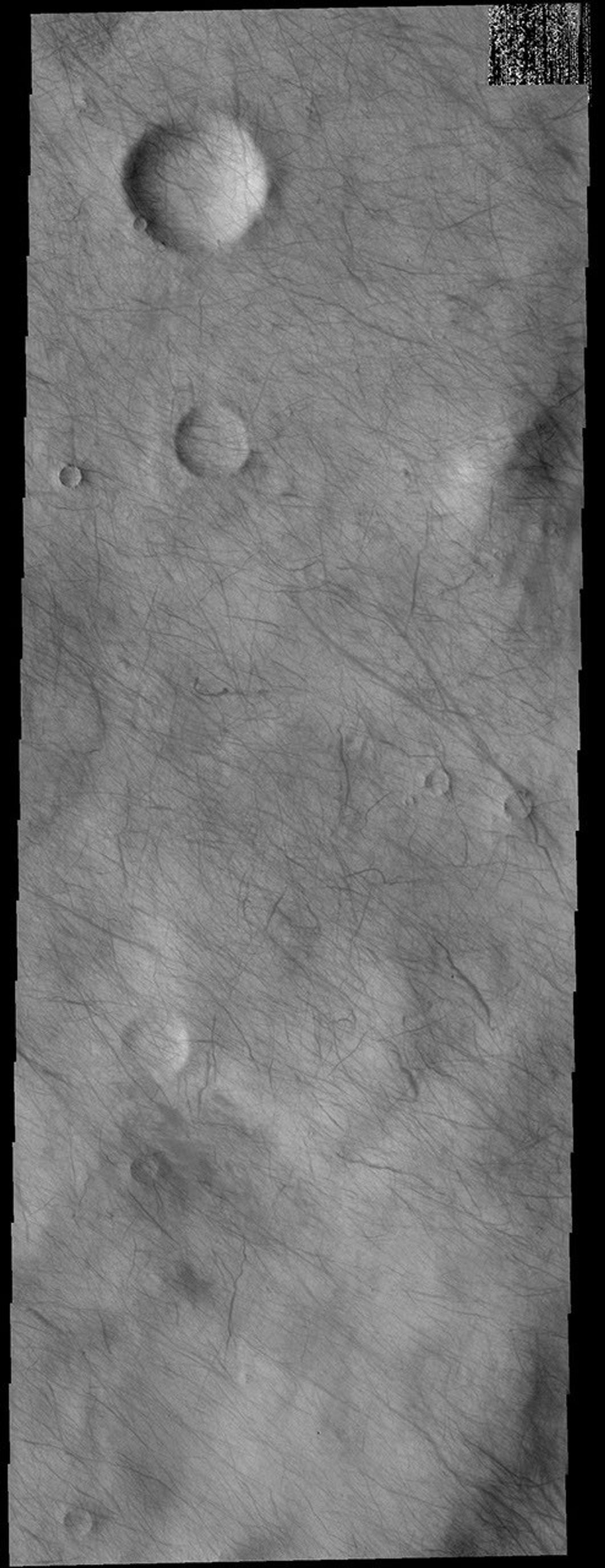 This image captured by NASA's 2001 Mars Odyssey spacecraft shows a multitude of dust devil tracks on Mars. The dark linear marks record where the dust devil was in contact with the surface and removed dust revealing the darker surface below.