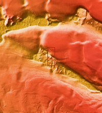 Context image for PIA19462