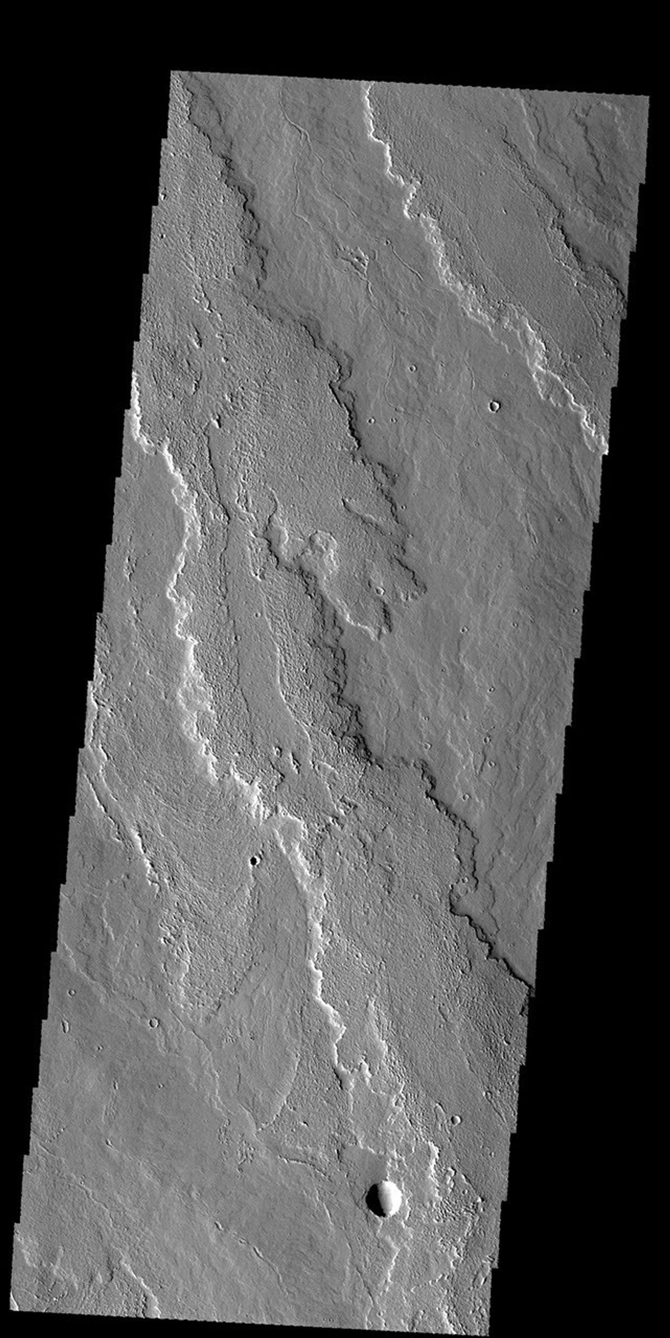 This image captured by NASA's 2001 Mars Odyssey spacecraft shows part of the extensive flow field called Daedalia Planum. The lava flows originated at Arsia Mons.