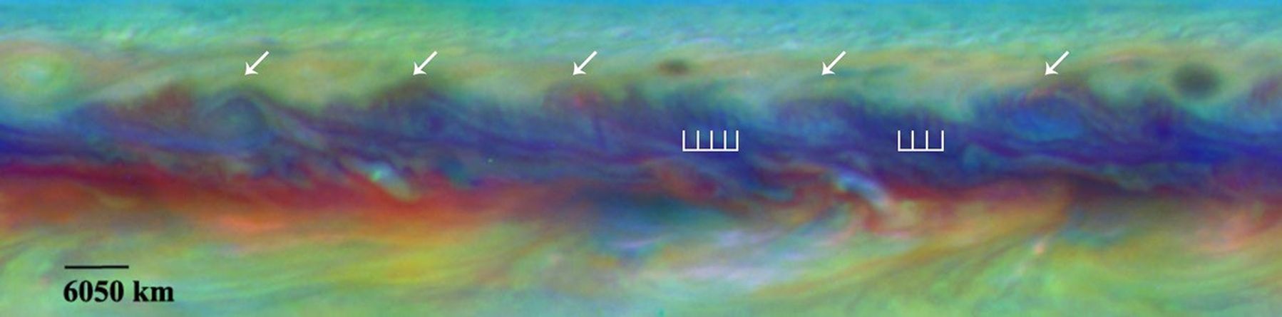 Scientists spotted a rare wave in Jupiter's North Equatorial Belt that had been seen there only once before in this false-color close-up from NASA's Hubble Telescope.