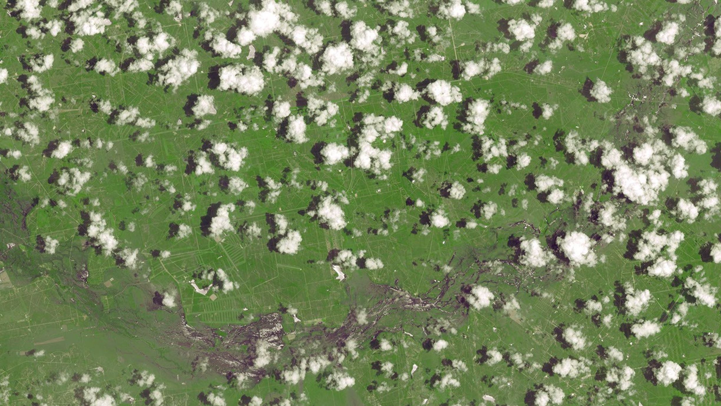 This image, acquired June 1, 2015 by NASA's Terra spacecraft shows evidence of the excessive water caused by widespread flooding from torrential rains. Located south of San Antonio, the Nueces River was one of many that overflowed its banks.