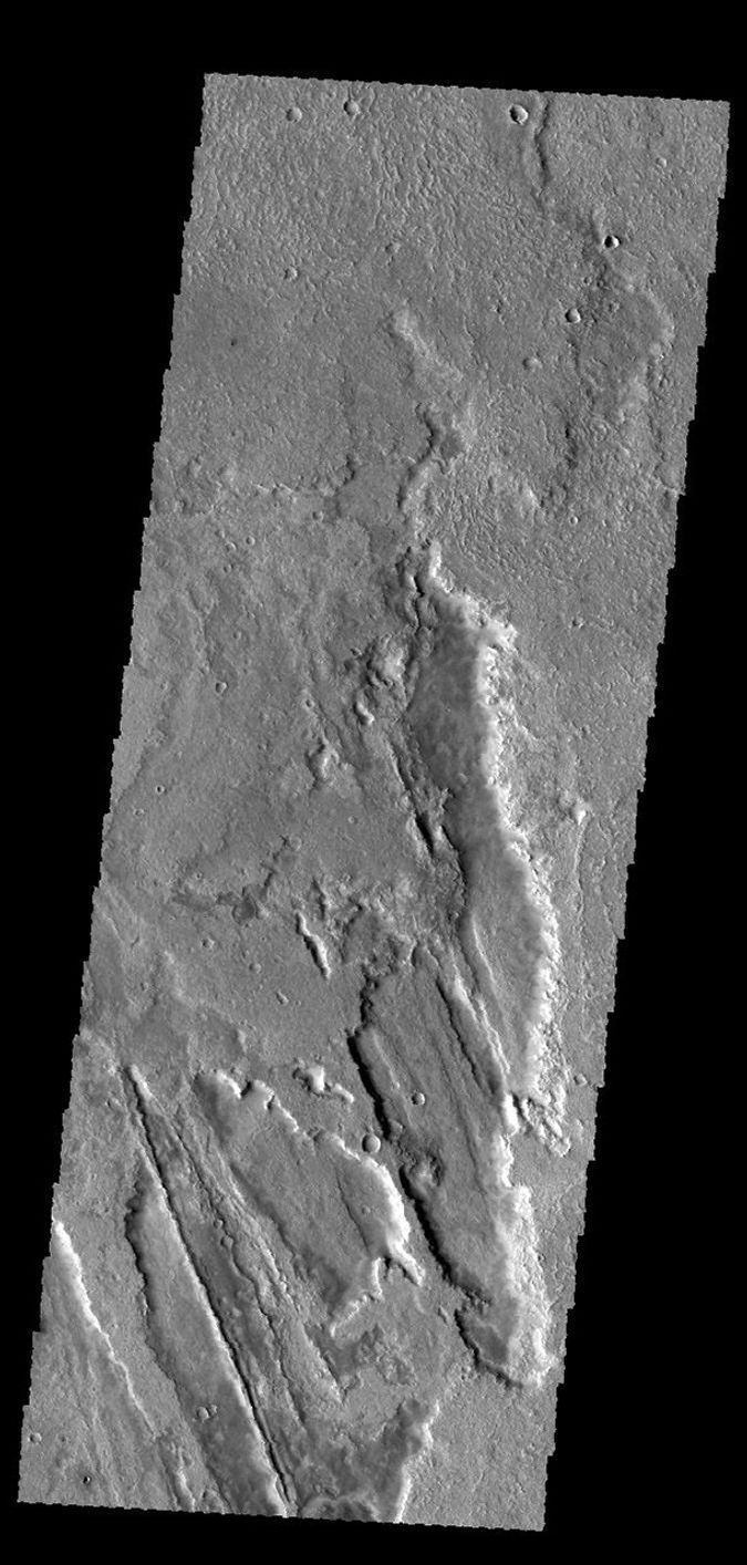 The lava flows in this image captured by NASA's 2001 Mars Odyssey spacecraft are part of Daedalia Planum, a huge lava field that originates from Arsia Mons.