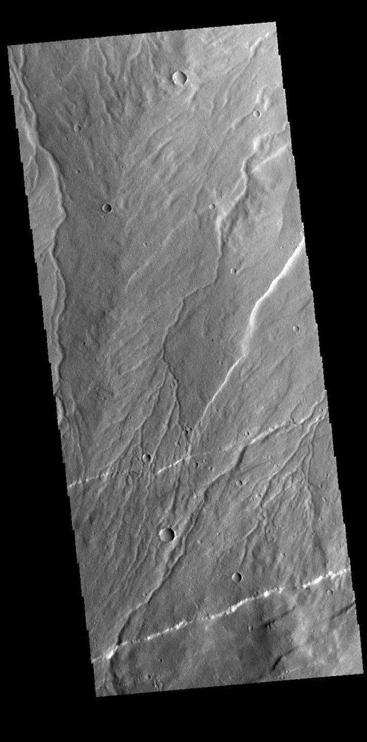 This image captured by NASA's 2001 Mars Odyssey spacecraft shows part of Rzvius Valles, located on the northern flank of Alba Mons.