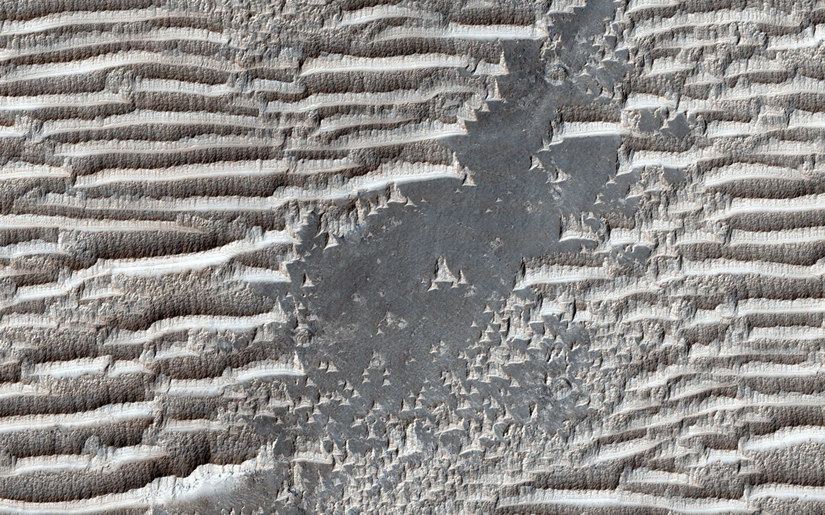 These strange features in Syria Planum have the same general form as transverse aeolian ridges (TARs) elsewhere on Mars; windblown deposits that are common in the Martian tropics, as seen by NASA's Mars Reconnaissance Orbiter spacecraft.
