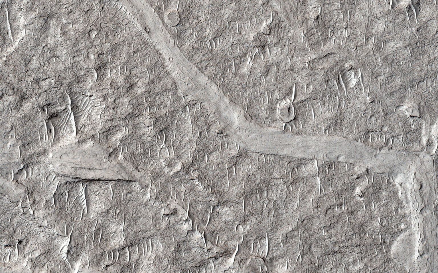 This image from NASA's Mars Reconnaissance Orbiter spacecraft shows numerous branching ridges with various degrees of sinuosity. These branching forms resemble tributaries funneling and draining into larger channel trunks towards the upper portion.