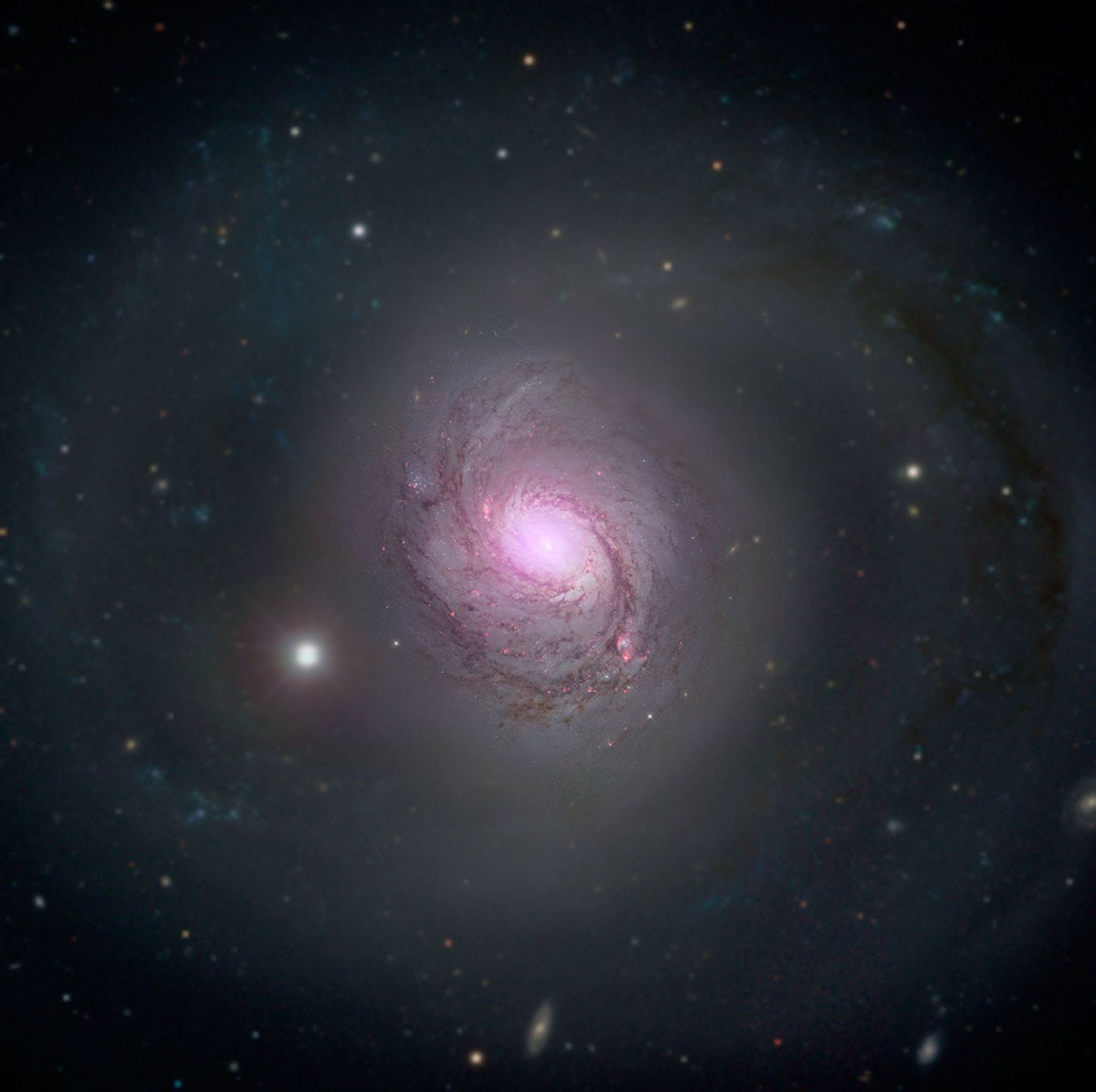 Galaxy NGC 1068 is shown in visible light and X-rays in this composite image. High-energy X-rays (magenta) captured by NASA's NuSTAR, are overlaid on visible-light images from both NASA's Hubble Space Telescope and the Sloan Digital Sky Survey.