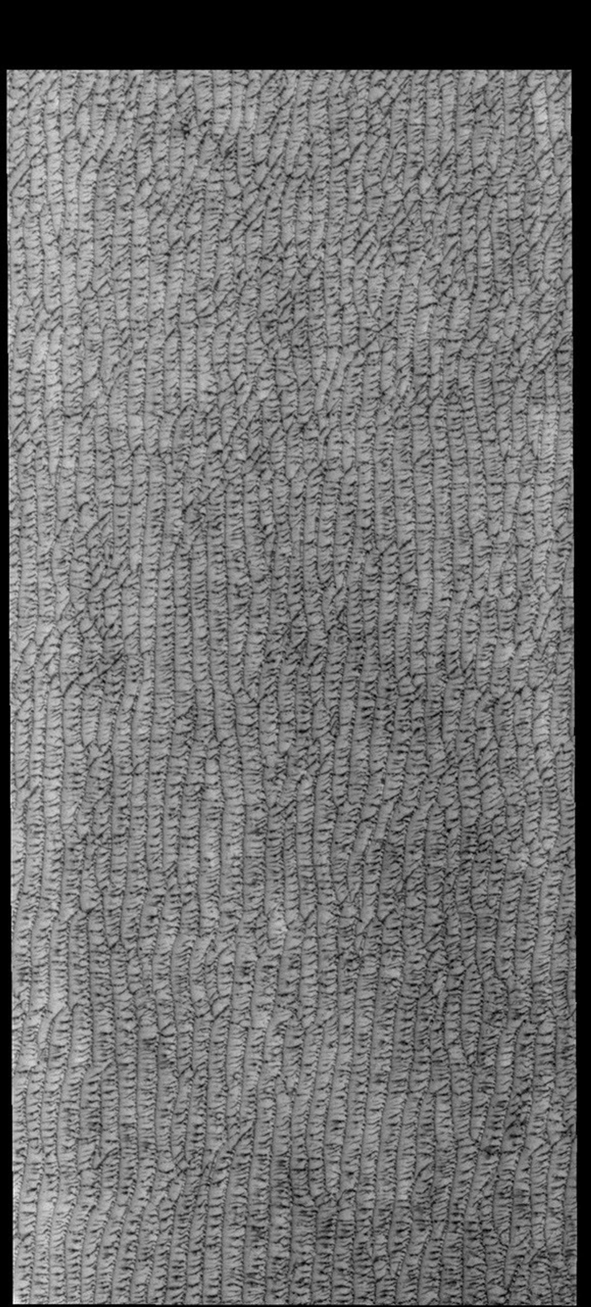 This image captured by NASA's 2001 Mars Odyssey spacecraft shows part of Olympia Undae, a large sand sea located near the north polar cap.