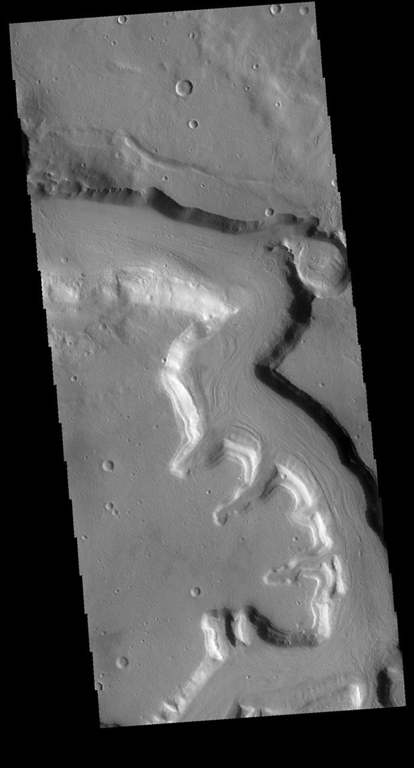 This image from NASA's 2001 Mars Odyssey spacecraft shows a portion of Mamers Valles. Mamers Valles is a large and complex channel system on the northern margin of Arabia Terra.