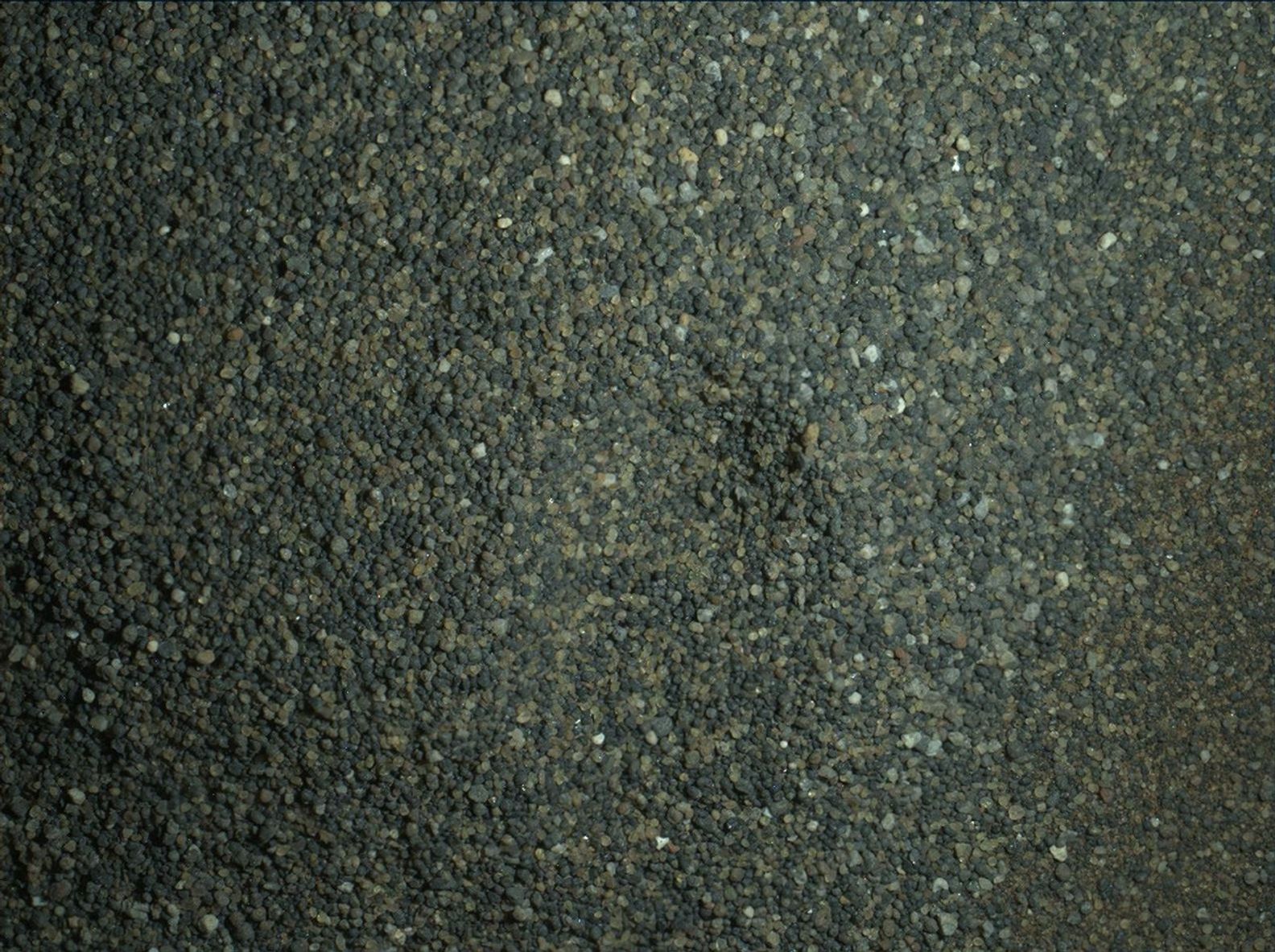 The Mars Hand Lens Imager (MAHLI) camera on the robotic arm of NASA's Curiosity Mars rover used electric lights at night to illuminate this view of Martian sand grains dumped on the ground after sorting with a sieve.