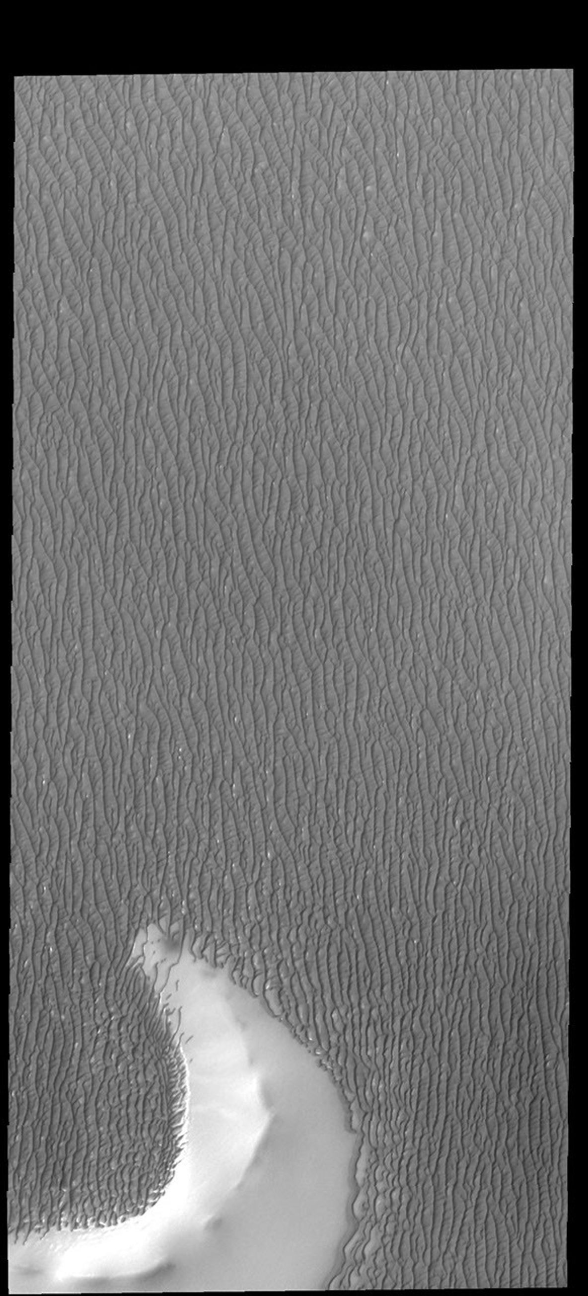The arc shaped feature at the bottom of this image captured by NASA's 2001 Mars Odyssey spacecraft is the remaining rim of a crater.