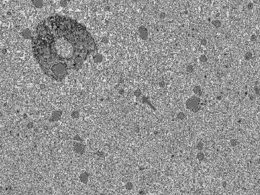 In April 2016, NASA's New Horizons spacecraft observed 1994 JR1, a 90-mile (145-kilometer) wide Kuiper Belt object (KBO) orbiting more than 3 billion miles (5 billion kilometers) from the sun.