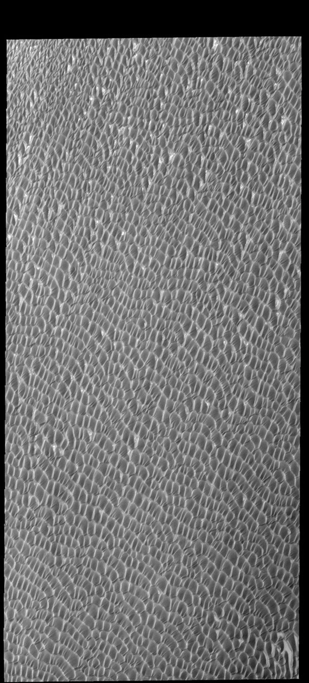 This image captured by NASA's 2001 Mars Odyssey spacecraft shows a small portion of Olympia Undae.